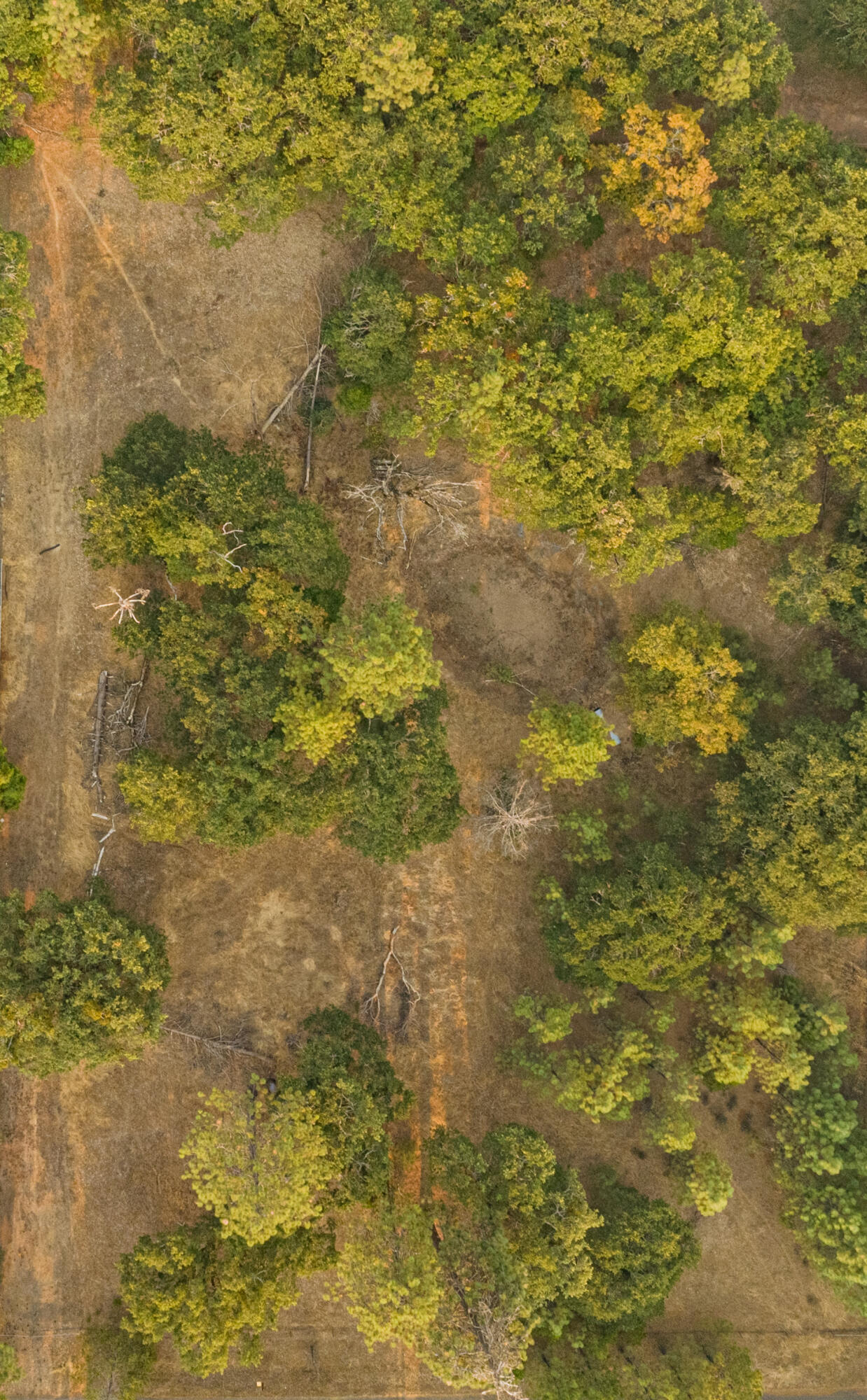 Bonnie Brae Subdivision - Land