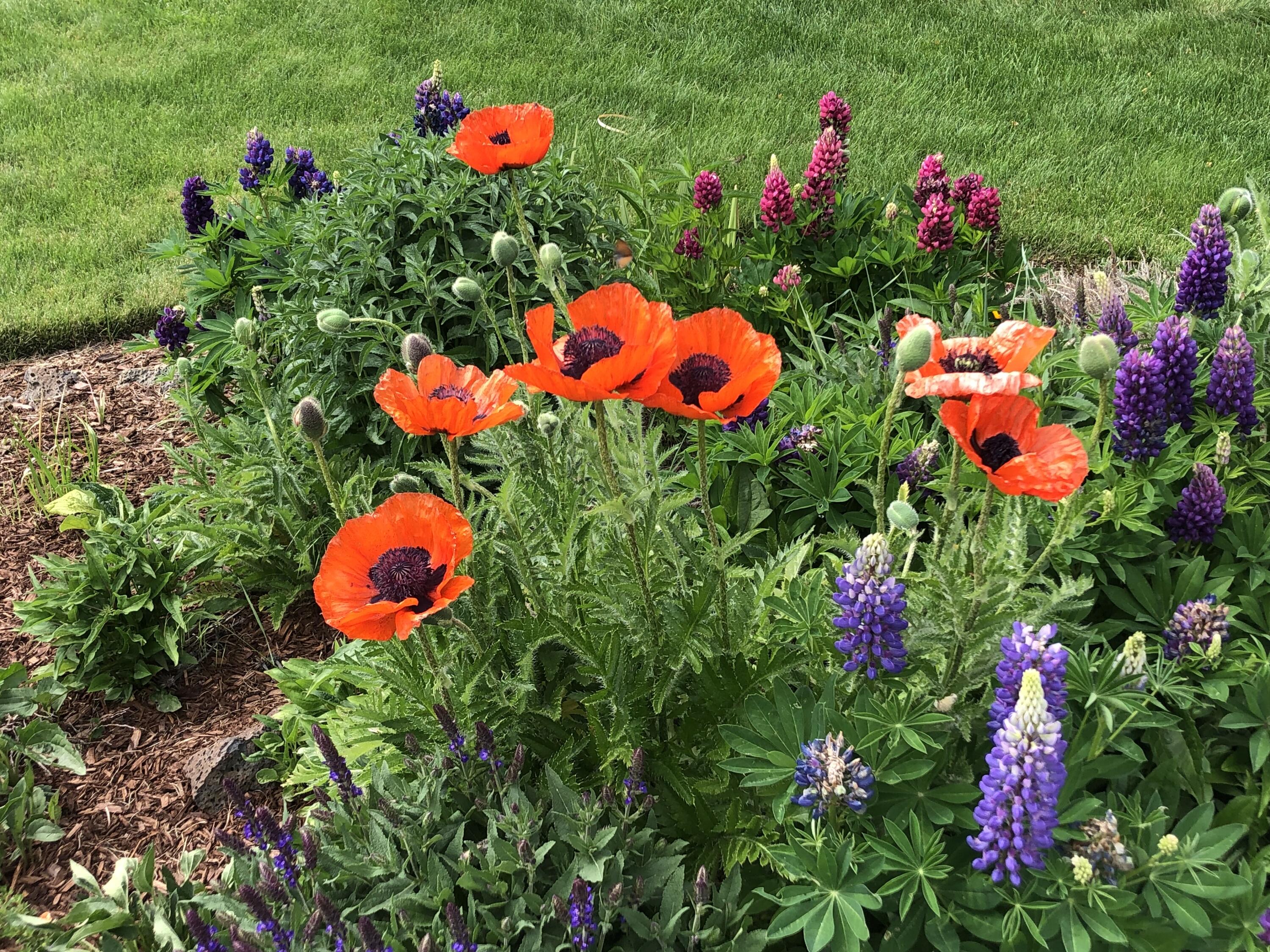 Starwood - Residential