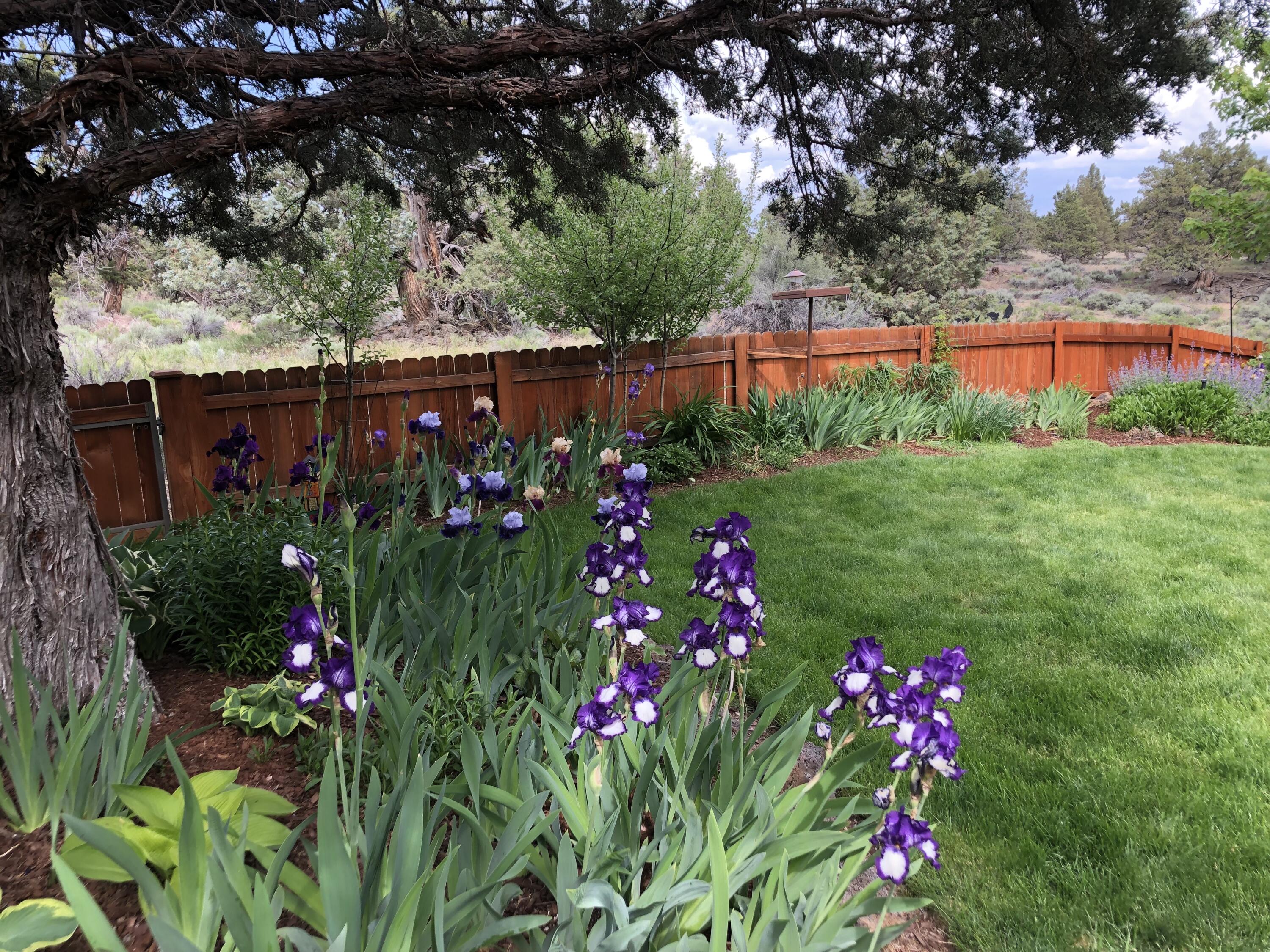 Starwood - Residential