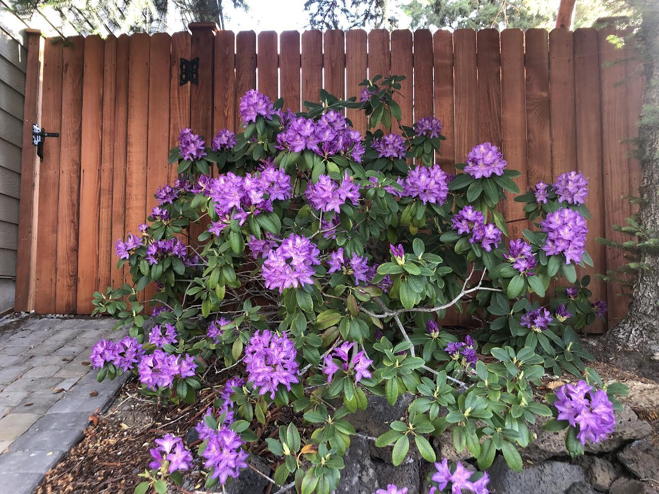 Starwood - Residential