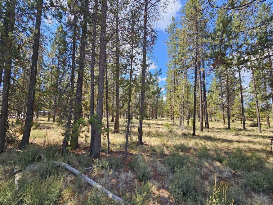 Located on a paved road, and backs up to a large parcel of private land. Close to Quail Run Golf Course, has availability for high speed internet, and three river access points just minutes away. Mosquito abatement and snow plowing included on your taxes. Lot has ATT septic feasibility approval on file with Deschutes county. Lot next door is available for sale.