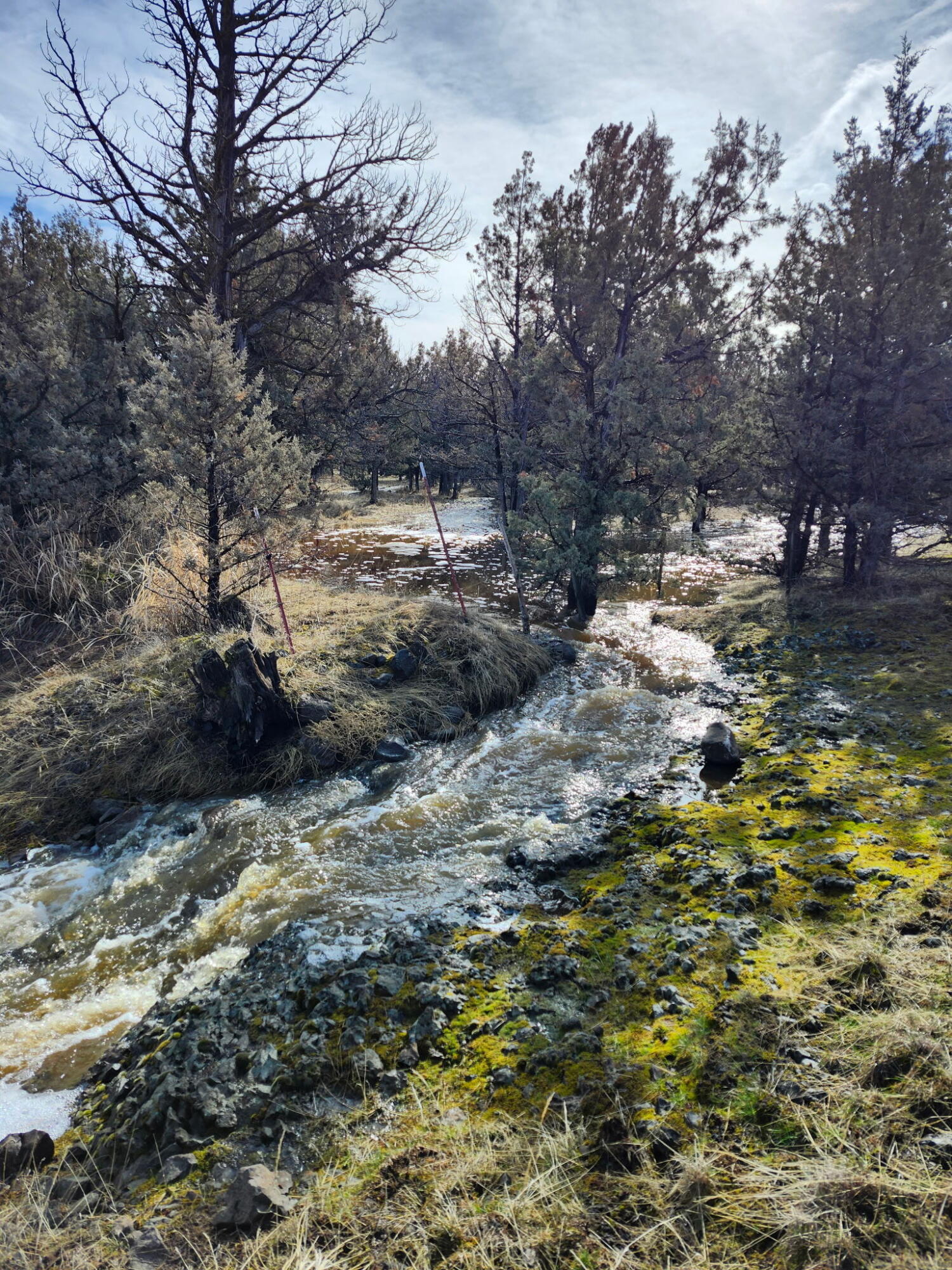 Prineville Lake Acres 1 - Land