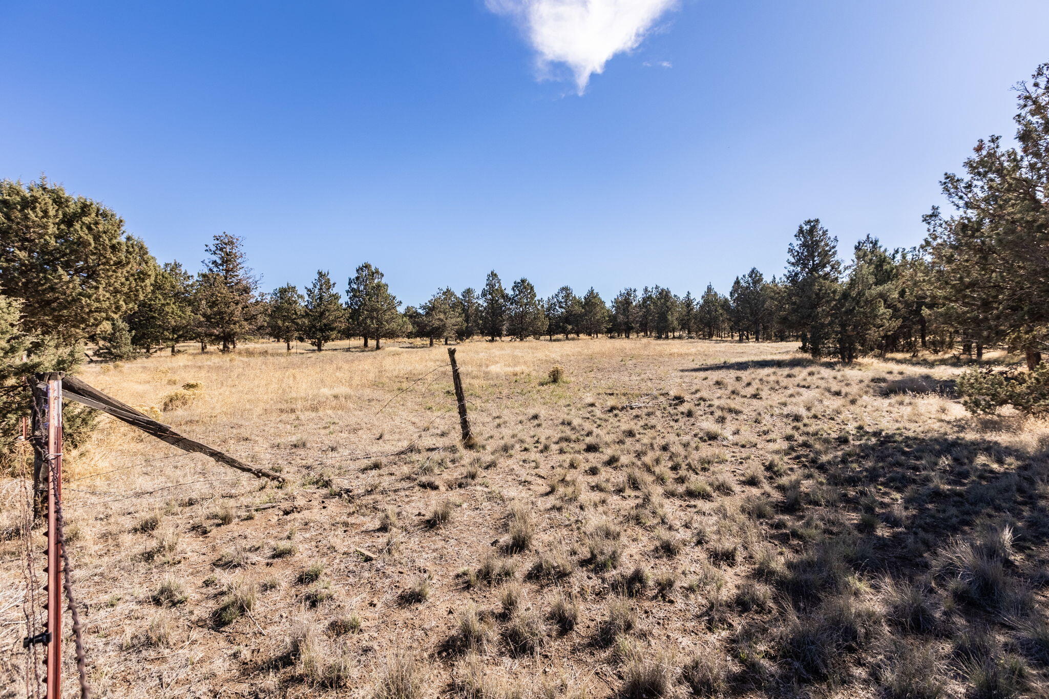 Prineville Lake Acres 1 - Land