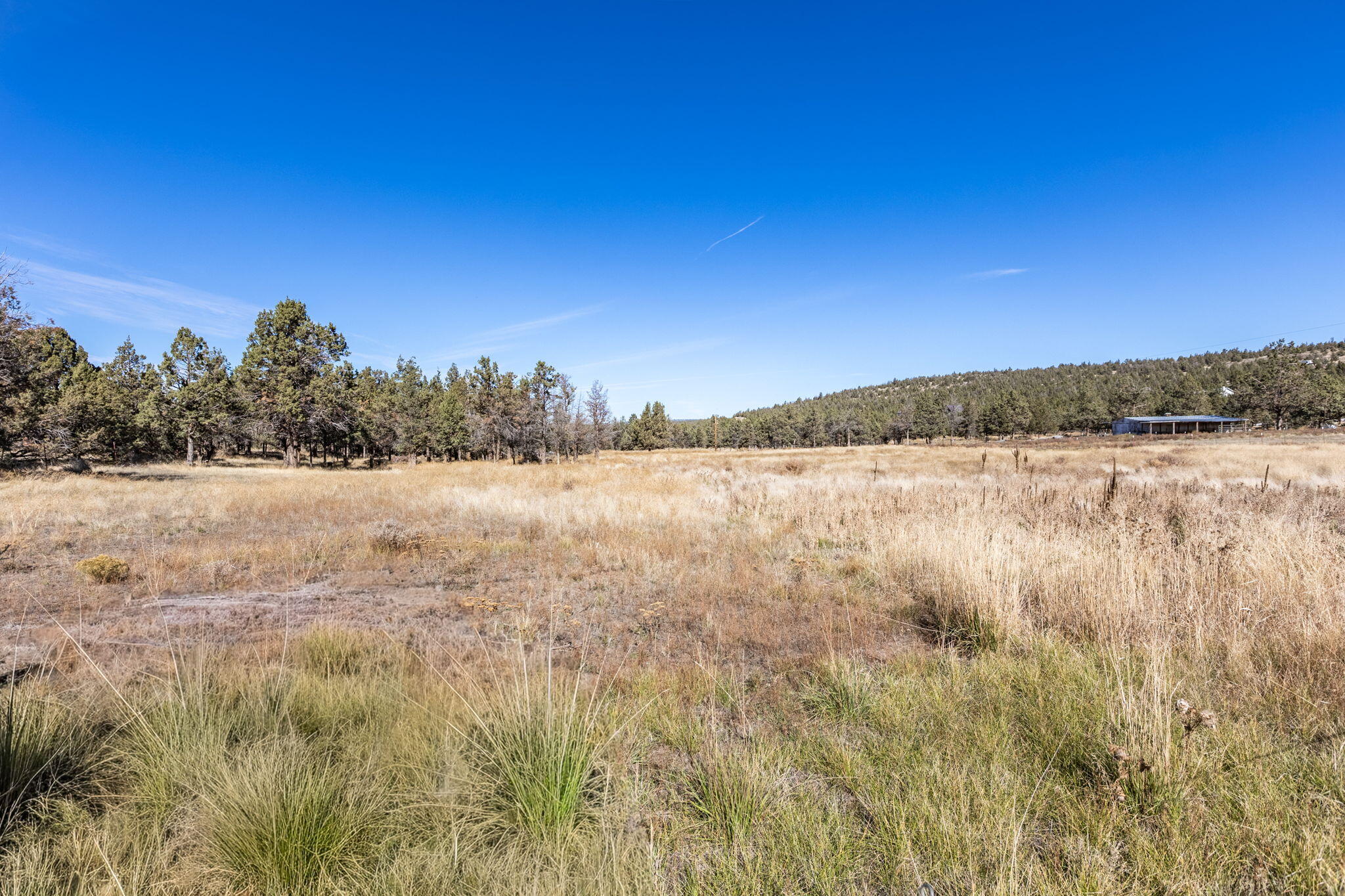 Prineville Lake Acres 1 - Land