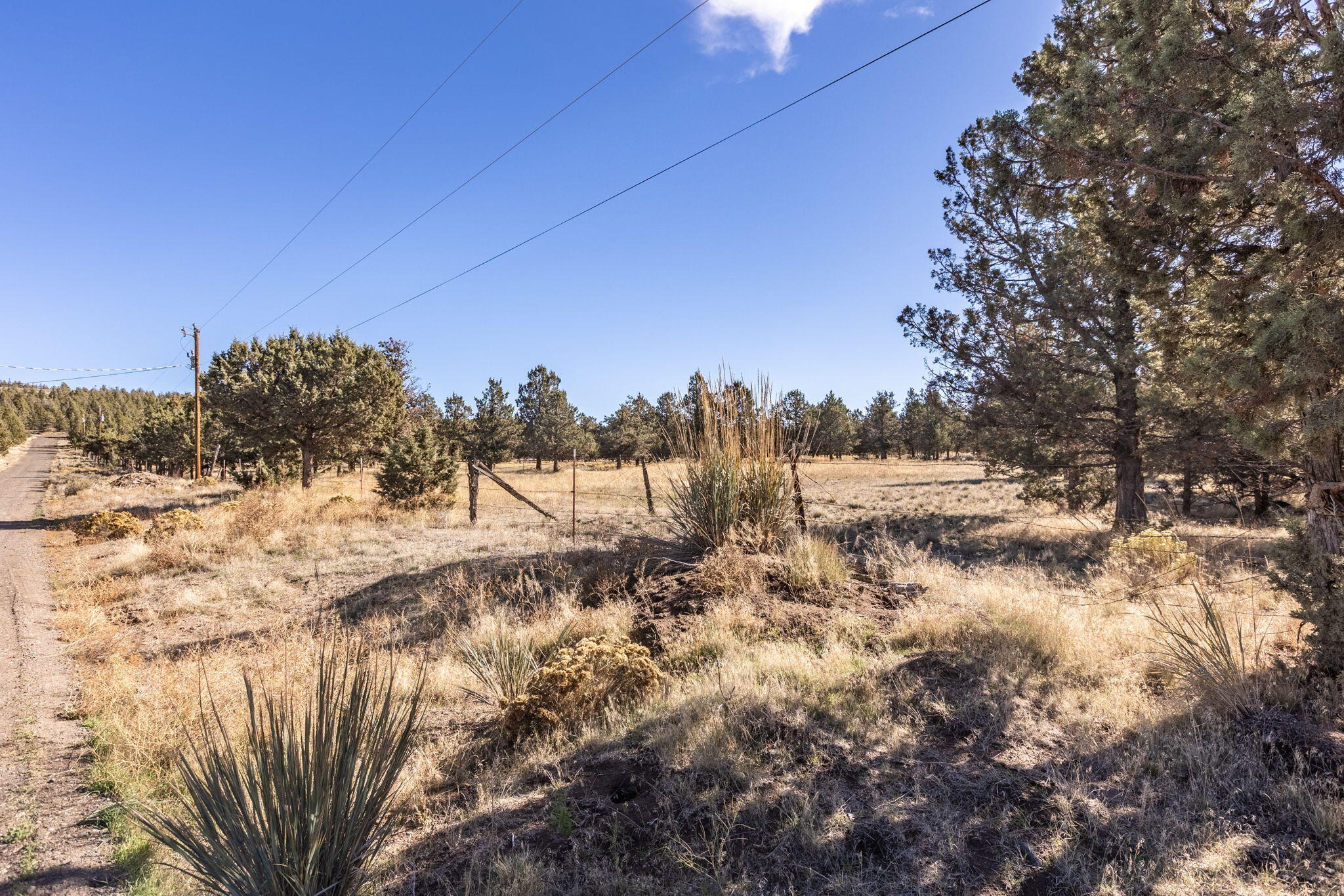 SE Ruger Road