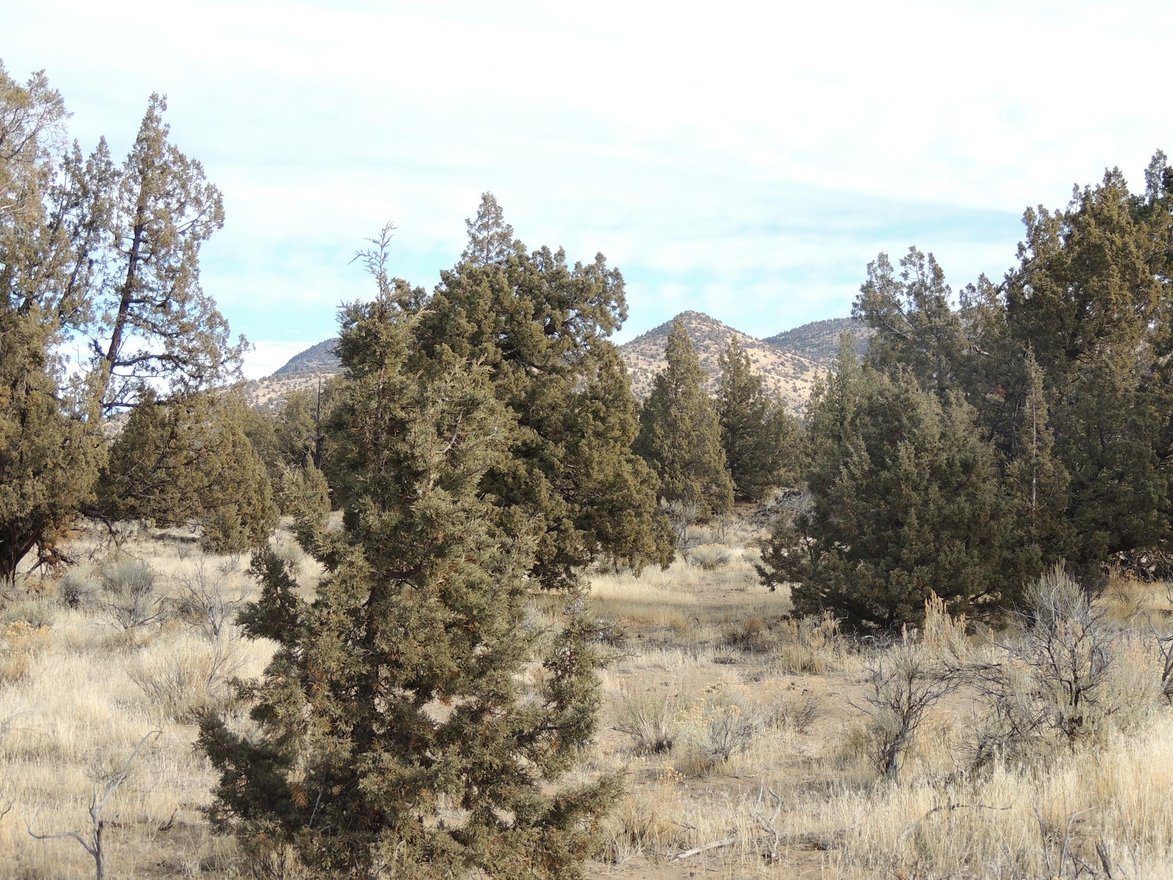 Brasada Ranch - Land