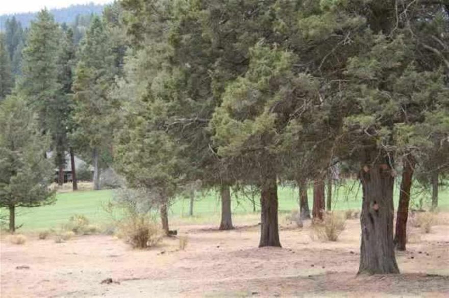 Nice Wide Golf Course Frontage - 1/2 Acre Lot - E-z Build - Great 8th Fairway Location - Great Opportunity At Only $20,000