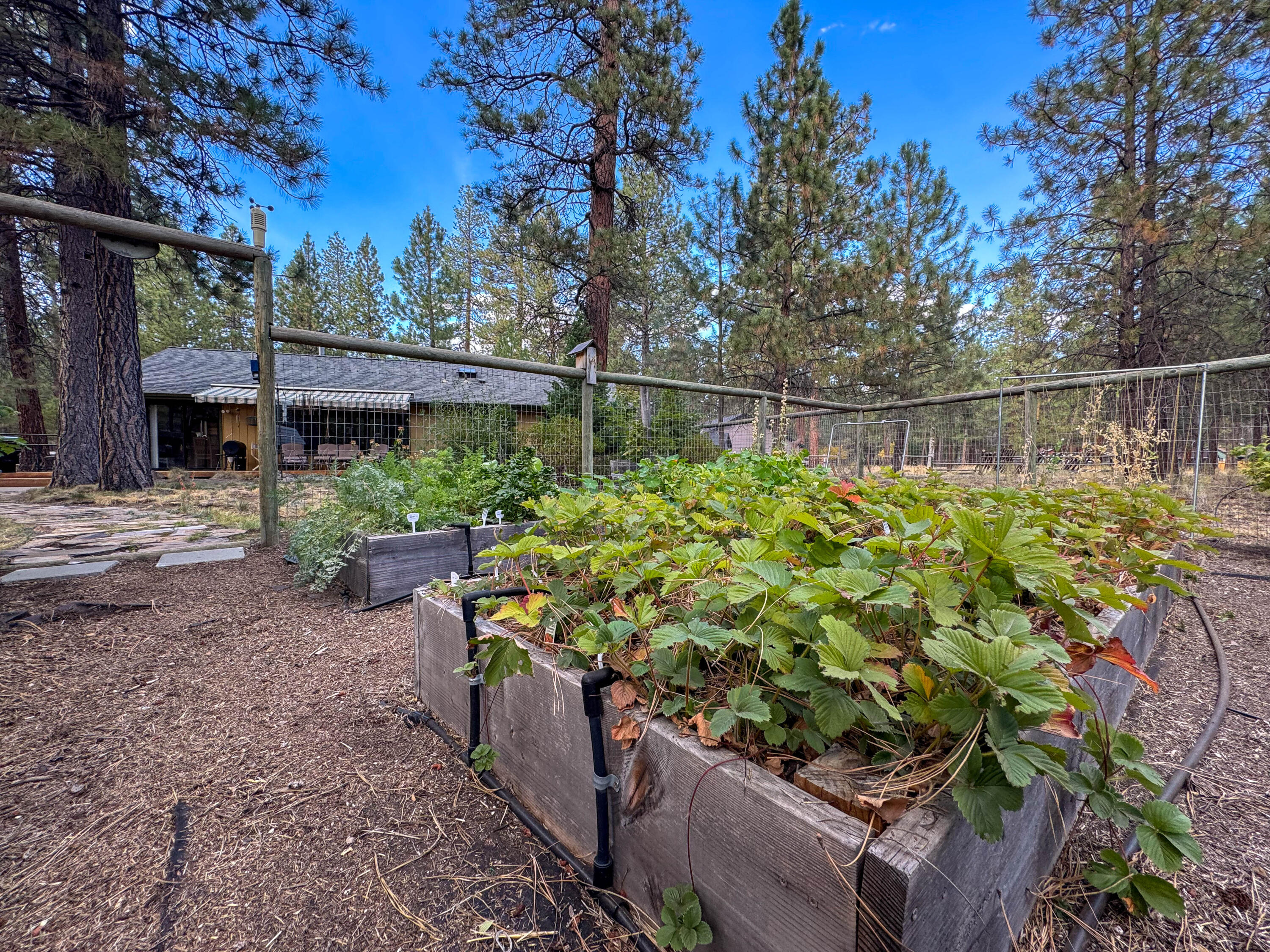 Tollgate - Residential