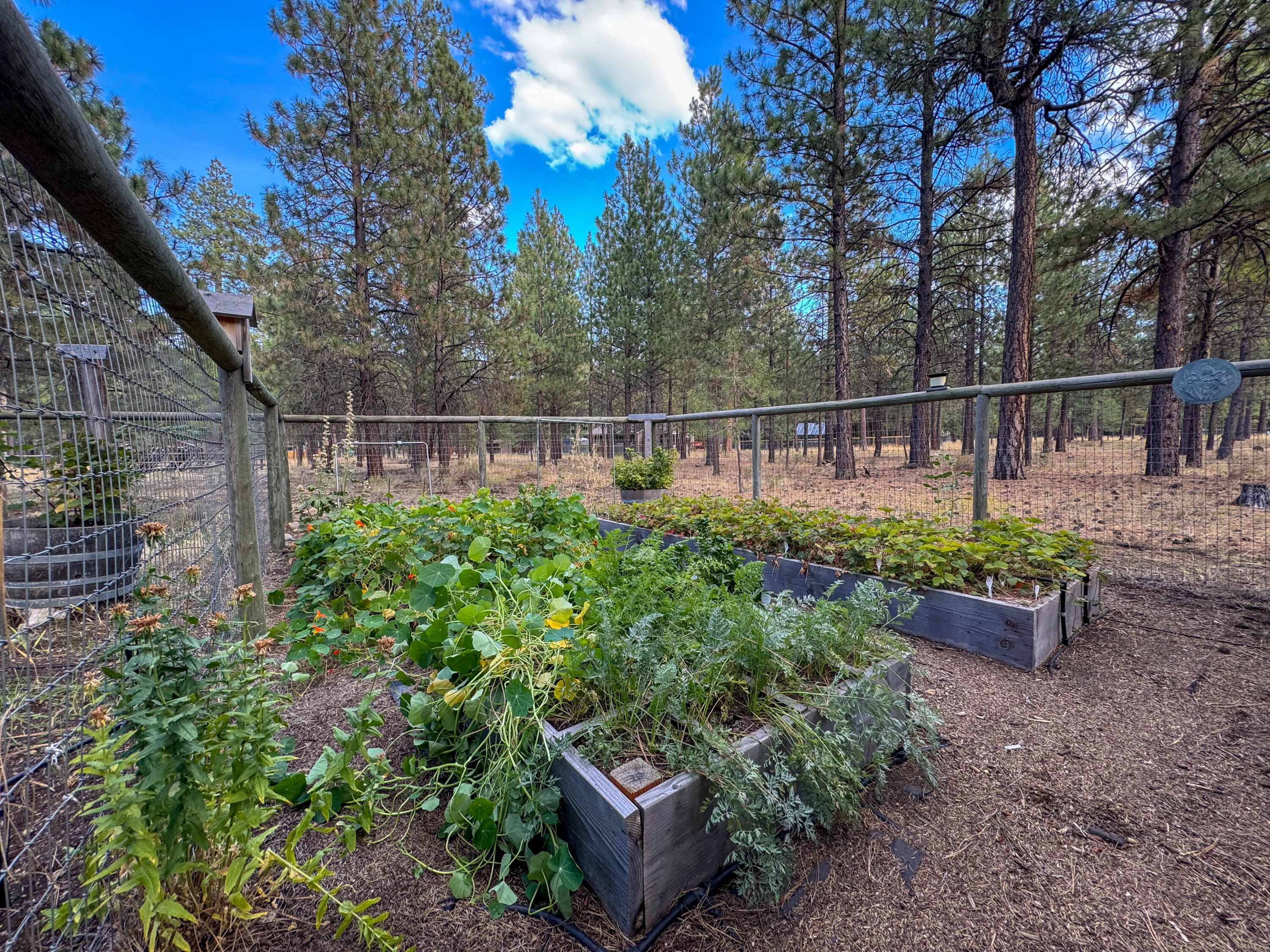 Tollgate - Residential