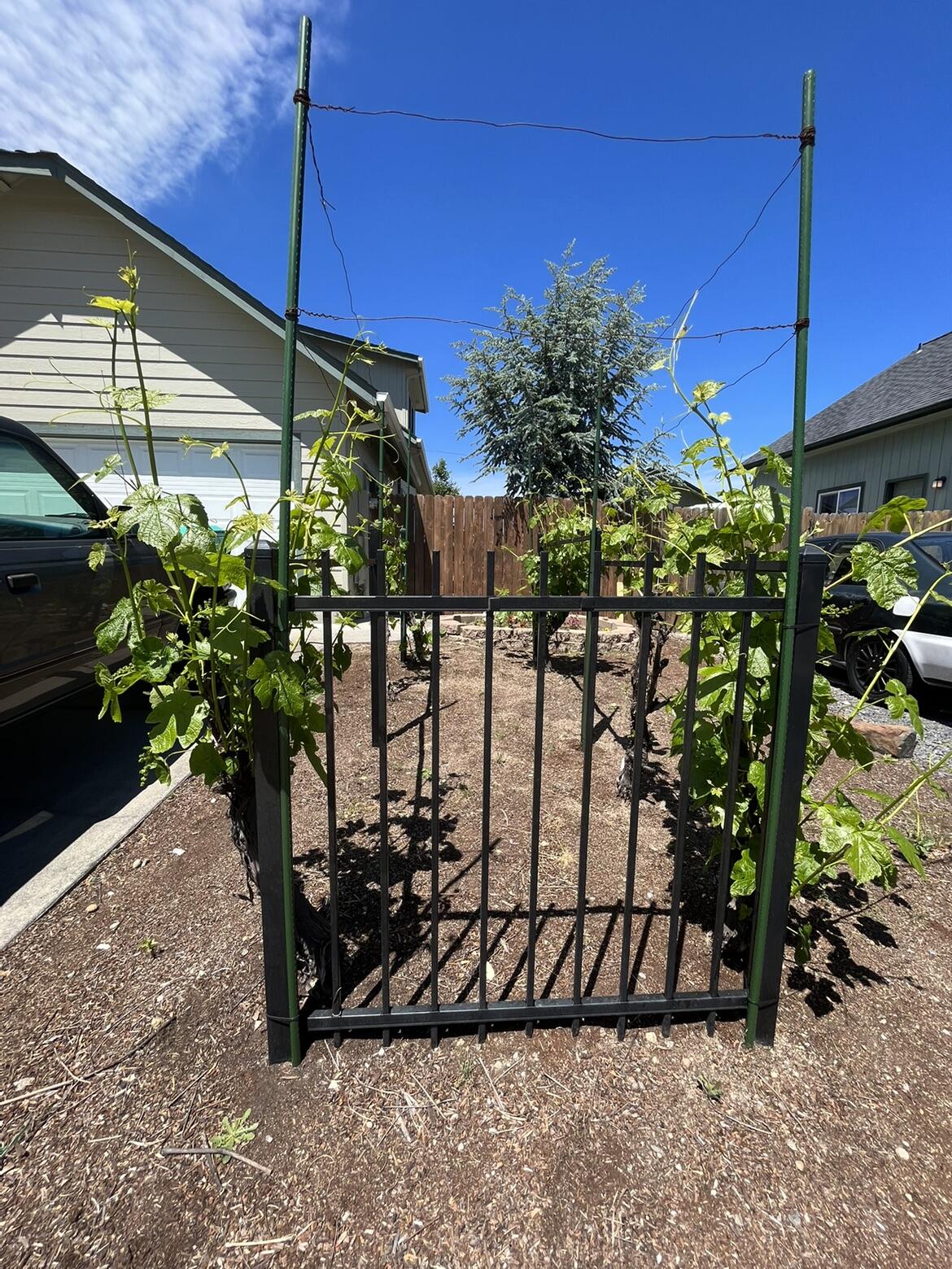 Autumn Crest Subdivision - Residential