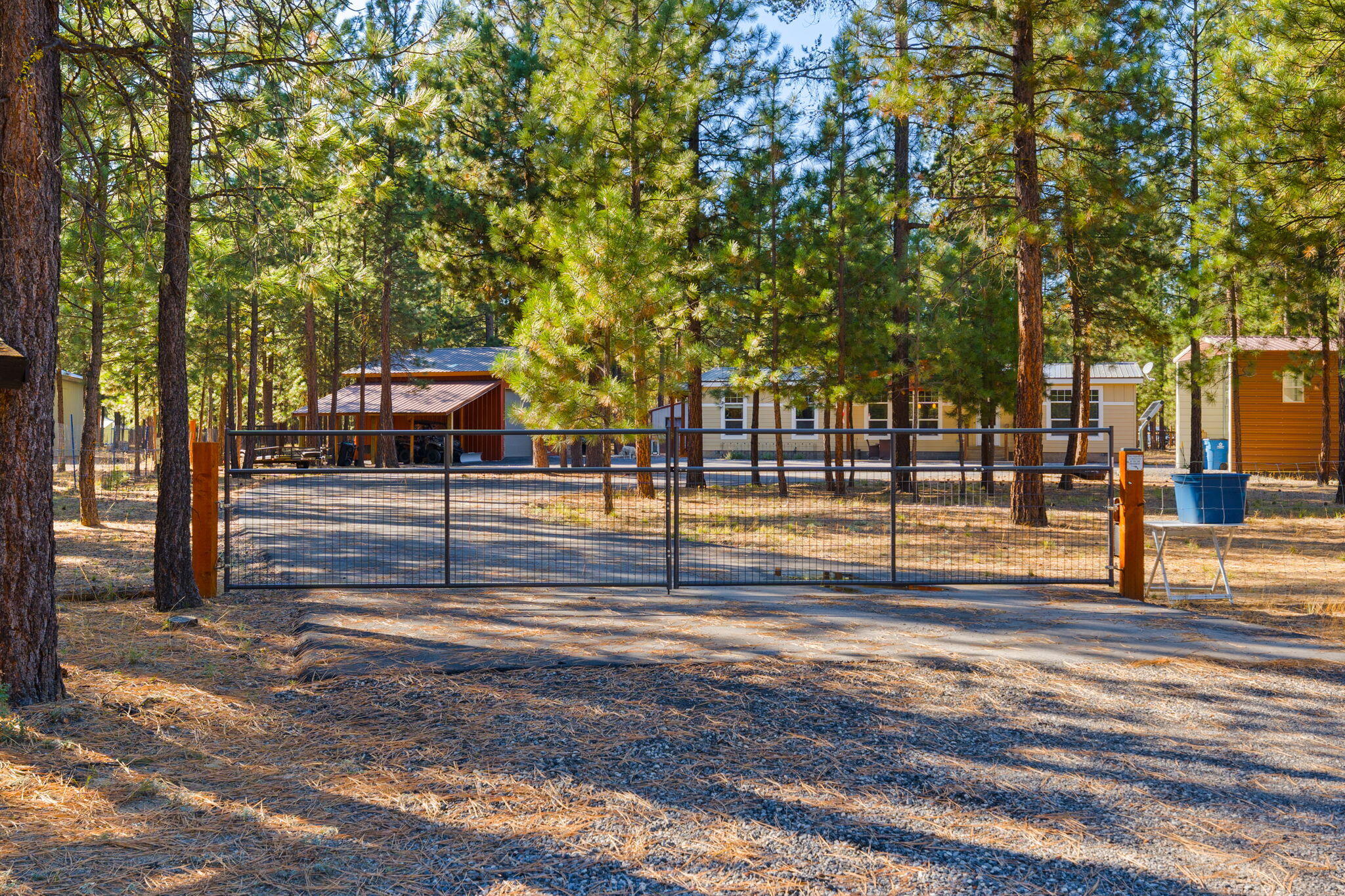 Ponderosa Pines - Residential