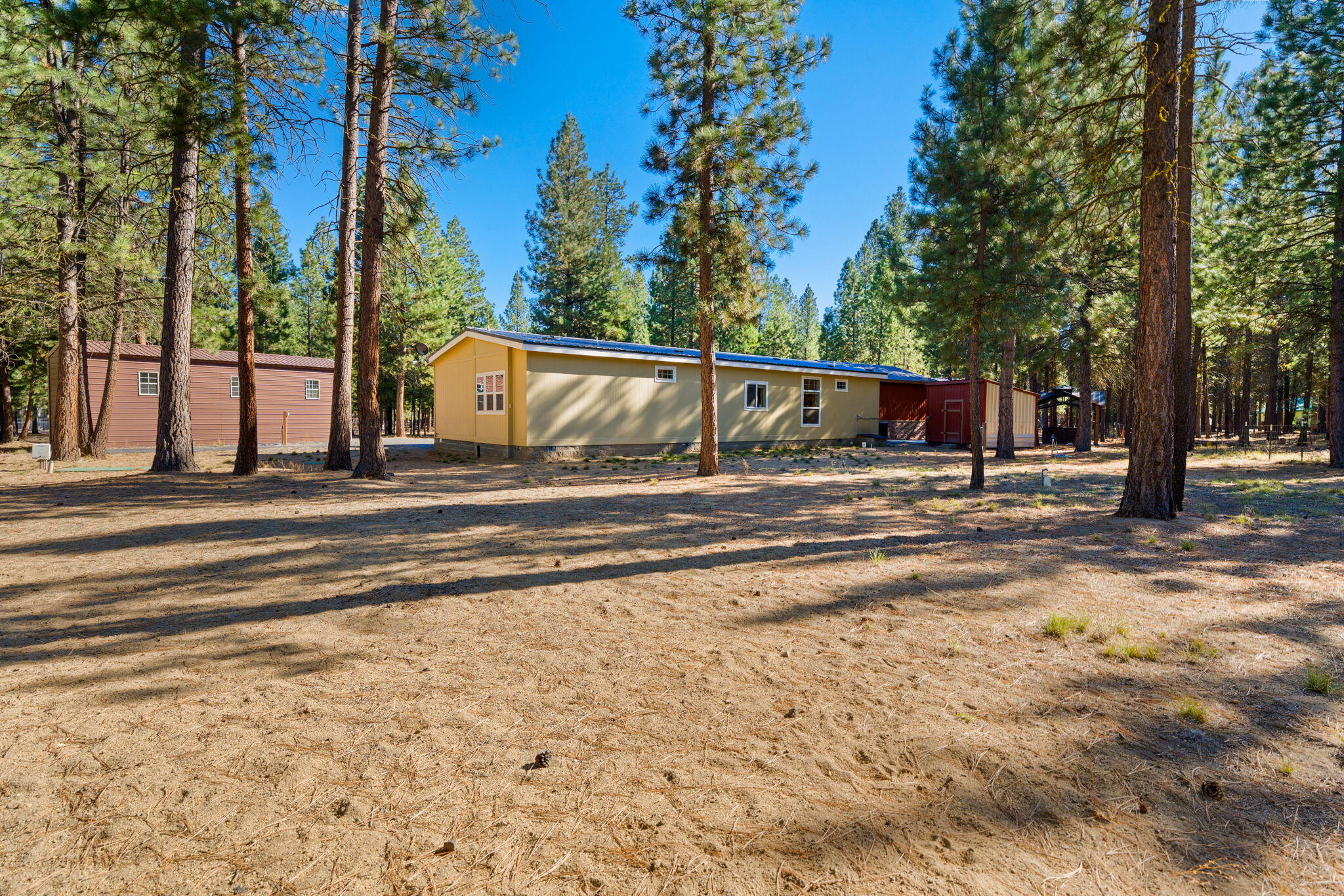 Ponderosa Pines - Residential