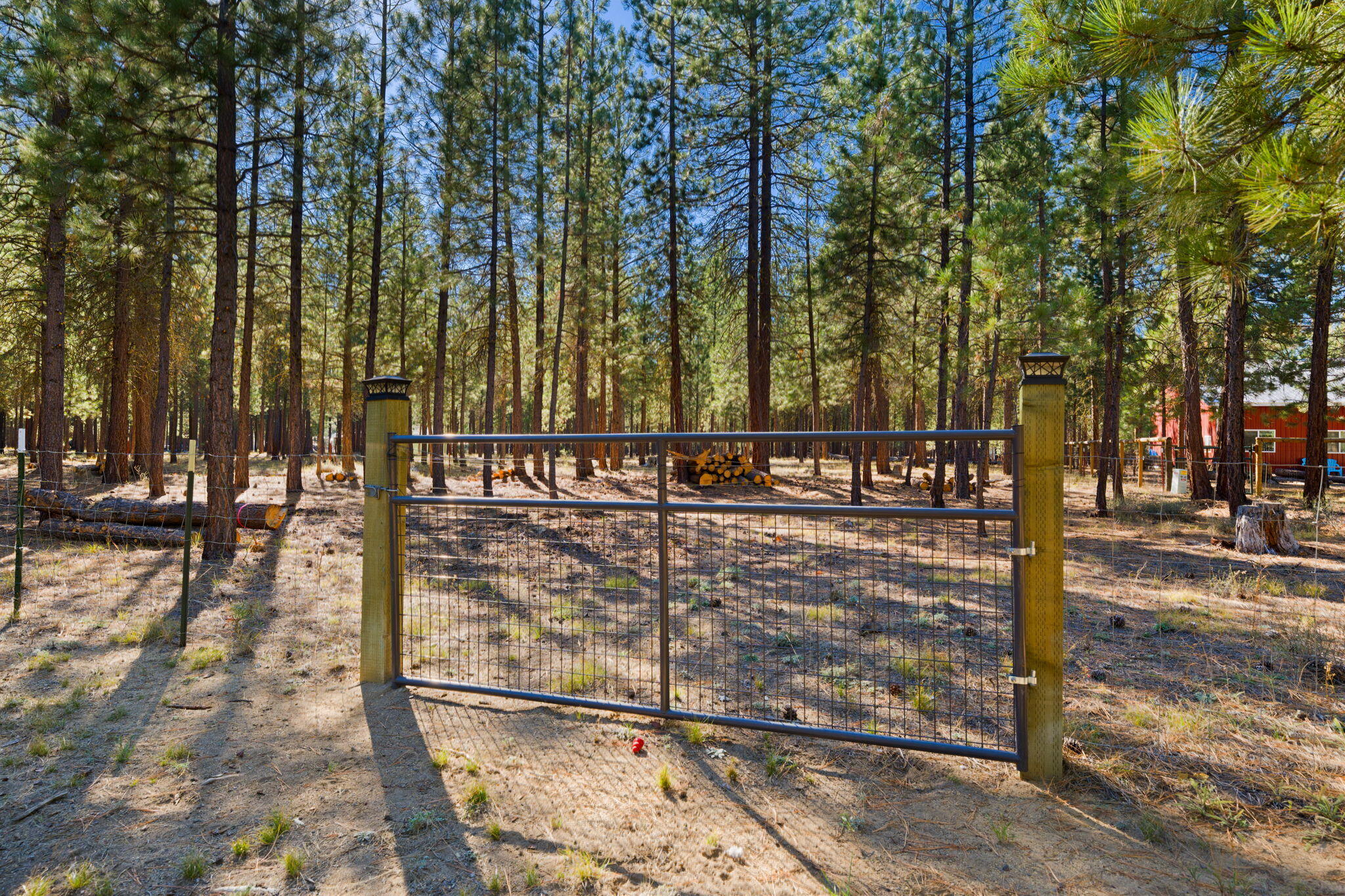 Ponderosa Pines - Residential