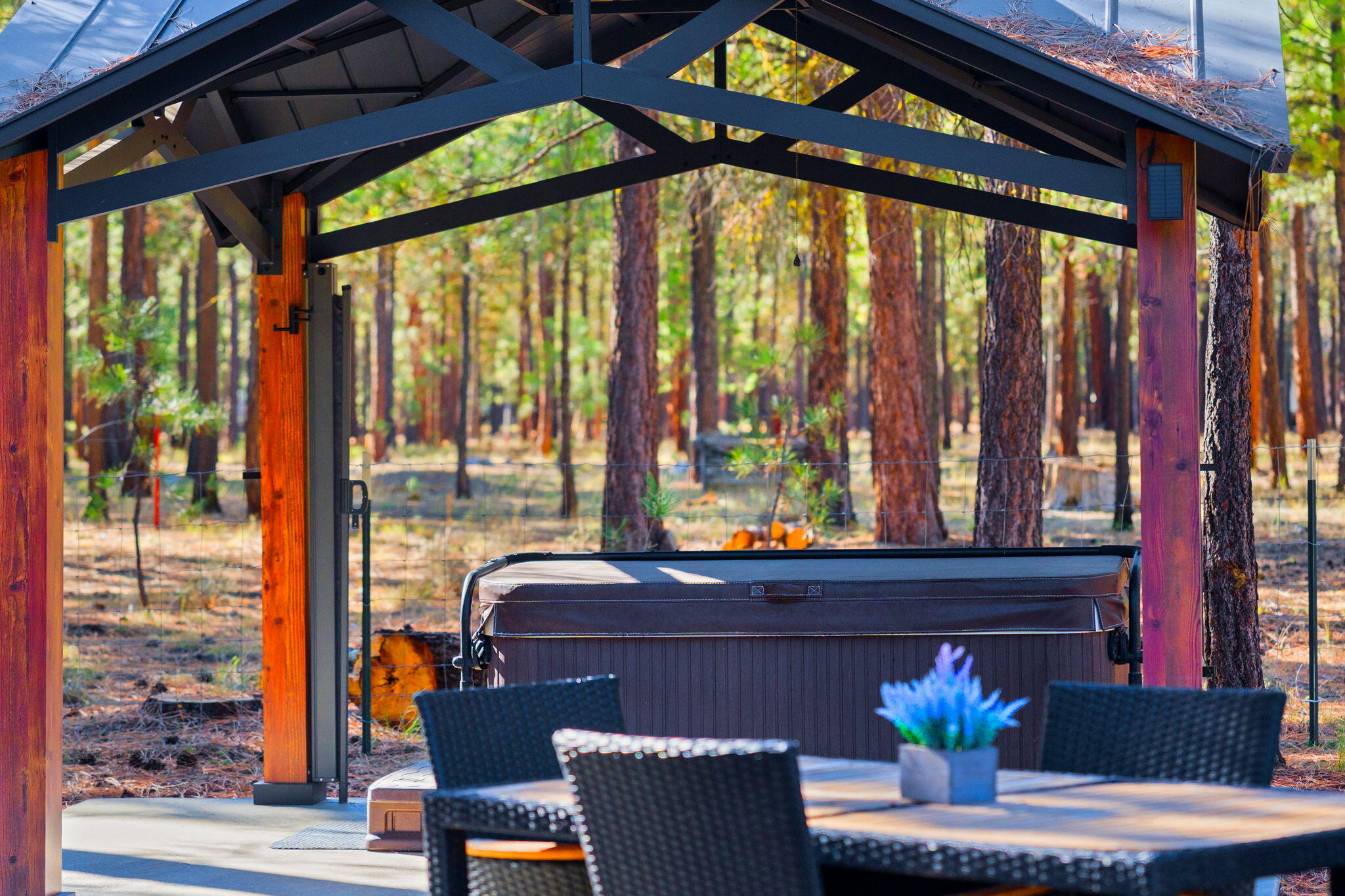 Ponderosa Pines - Residential