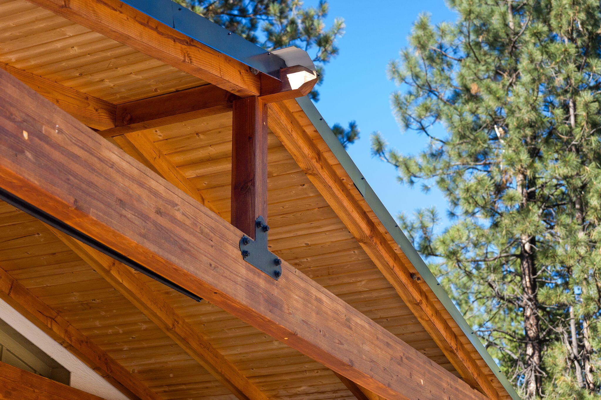 Ponderosa Pines - Residential