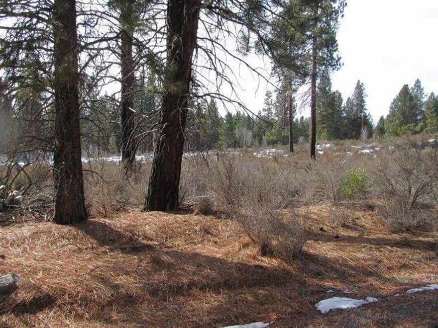 Great Buildable Lot In A Small Community Outside Of Town Easy Access 1.24 Acrea Couple Of Pines . Mostly Level Has Access To The Williamson River