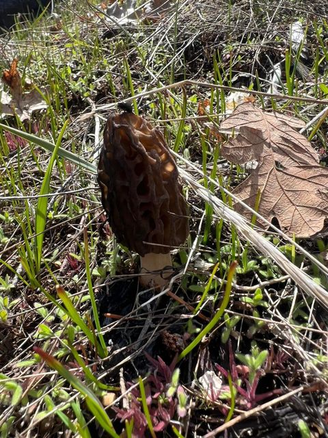 Tiny photo for 18781 E Evans Creek Road, Rogue River, OR 97537 (MLS # 220214903)