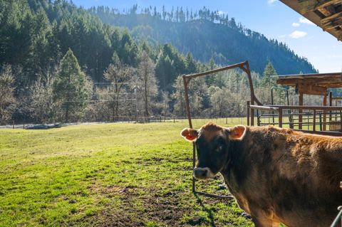 Tiny photo for 18781 E Evans Creek Road, Rogue River, OR 97537 (MLS # 220214903)