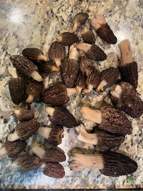 Tiny photo for 18781 E Evans Creek Road, Rogue River, OR 97537 (MLS # 220214903)