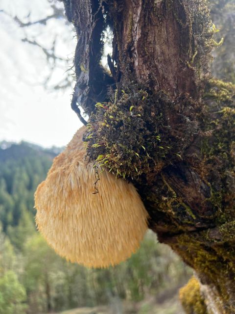 Tiny photo for 18781 E Evans Creek Road, Rogue River, OR 97537 (MLS # 220214903)