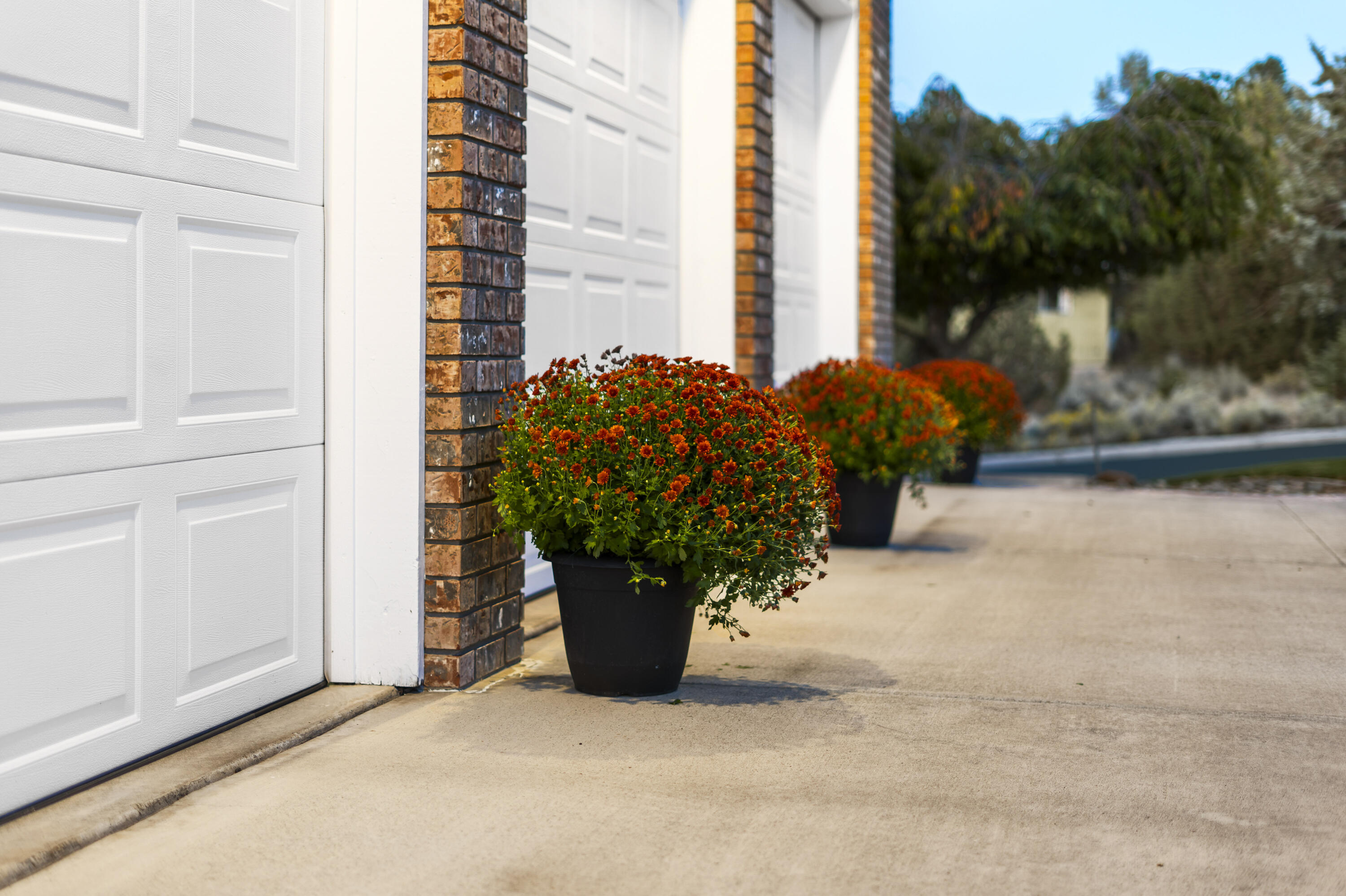 3735 SW Timber Avenue