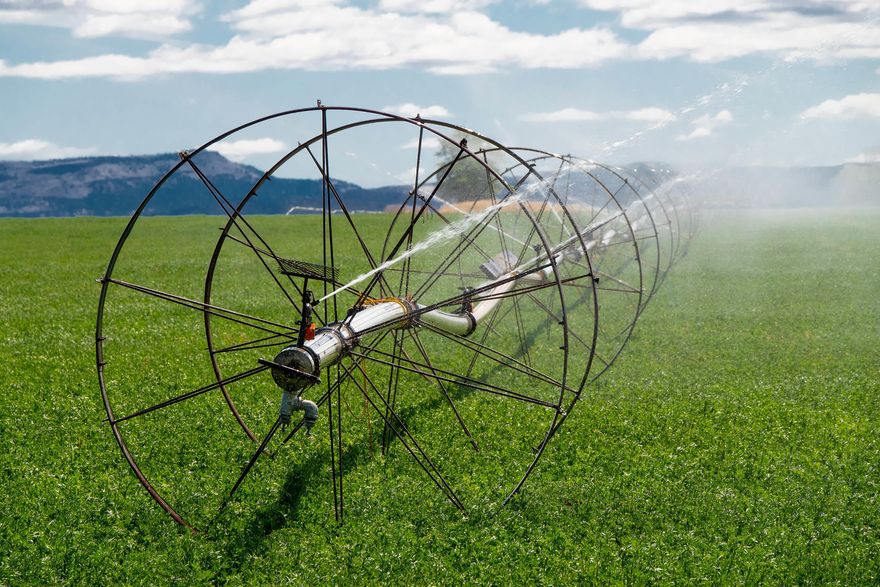 Unique opportunity in Agency Plains! 76 acre farm & livestock operation with 70.6 NUID water rights currently planted in orchard grass, alfalfa, triticale & barley irrigated via wheel lines & hand lines. 36X79 Calf Barn w/ 2 stalls, corral, hay storage, lean to, 42X40 Barn/Storage Bldg w/ concrete flooring, large roll up door, 30X36 insulated/heated shop, concrete flooring, separate electrical panel wired for 220, 14' roll up door, 48X60 Hay Shed w/ 18X60 Lean To, 2 Grain Silos, Irrigation Pond. Welcoming triple-wide manufactured home built in 1998 features 1668SF, open floor plan, vaulted ceilings, spacious kitchen w/ new counter tops & flooring, dining area, master bedroom w/ master bath, jetted tub & walk-in closet, updated hall bath, laundry room, mud room, attached 2 car garage, large patio, deck, beautiful landscaping, newer carpet & interior/exterior paint. Prime location, spectacular, unobstructed Cascade Mountain views!