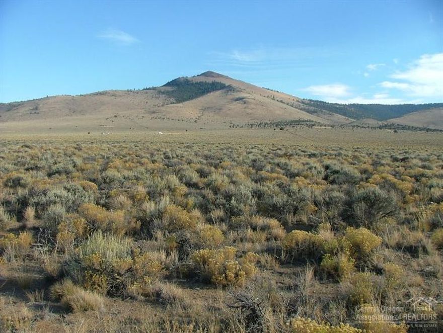 Own 5 acres on the high desert. Great site for wildlife viewing, camping, sunsets, and stargazing. Pine Mountain Observatory, hiking, paragliding, hang gliding, horseback riding, hunting, ATV trails, and mountain biking in the vicinity. Land is currently recreation use only. Bring your RV! Off-the-grid. Borders public land (BLM). Great views of Pine Mountain.