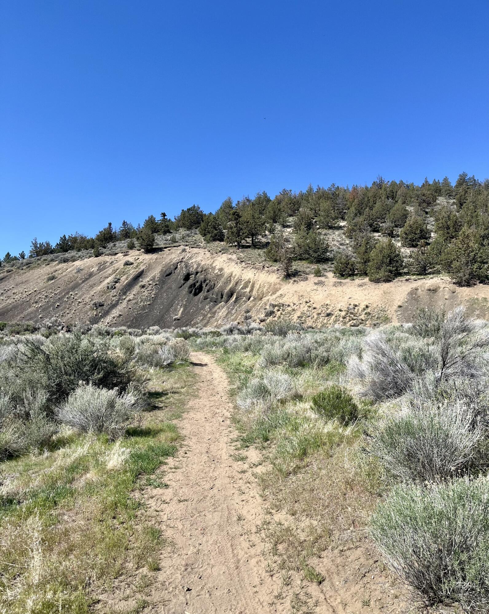 Parkside@Pilot Butte - Residential