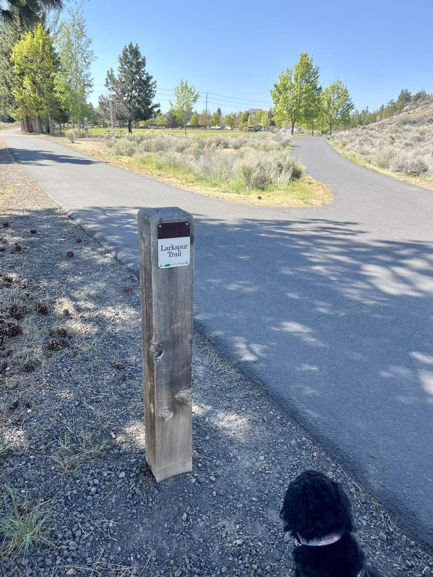 Parkside@Pilot Butte - Residential