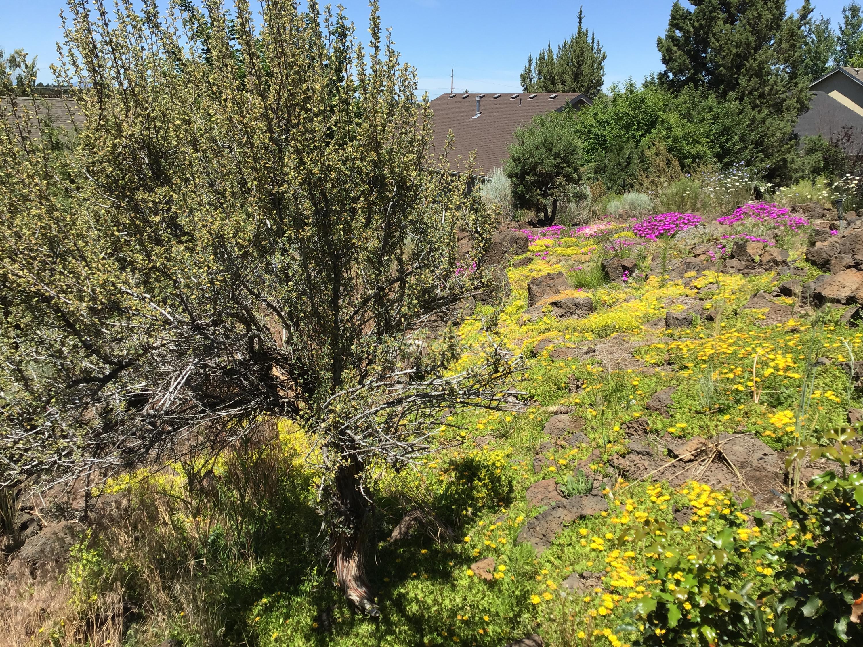 Cascade Vill Mob HP - Residential