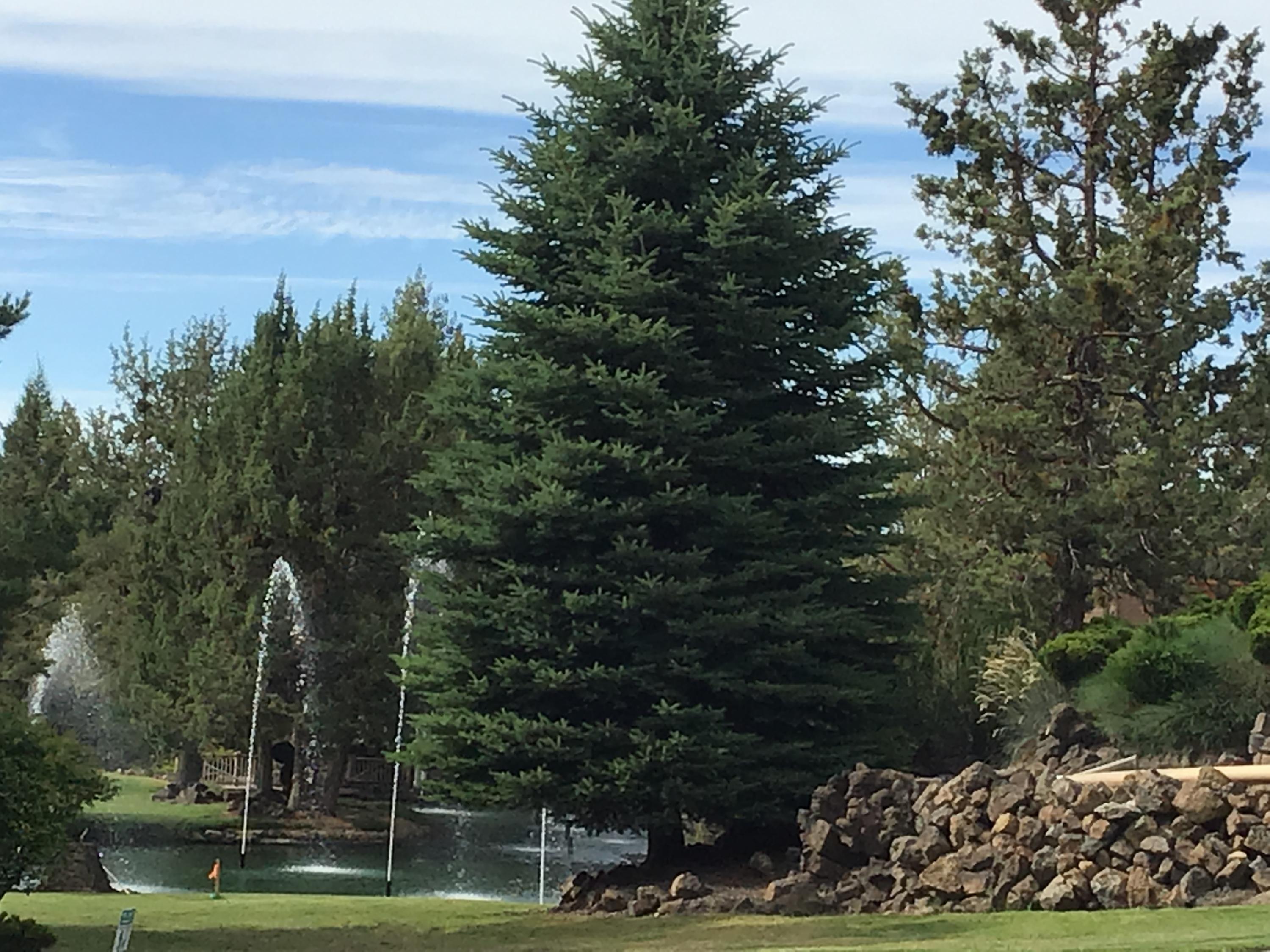 Cascade Vill Mob HP - Residential