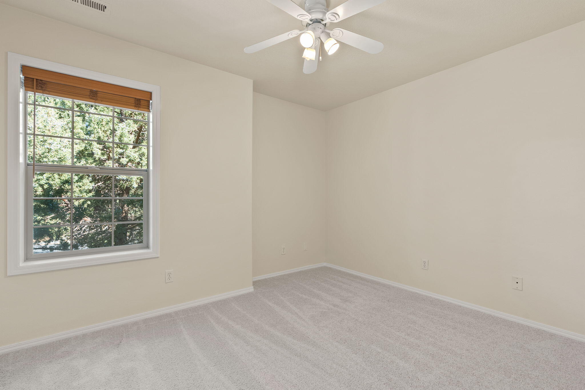 Conifer Estates - Residential