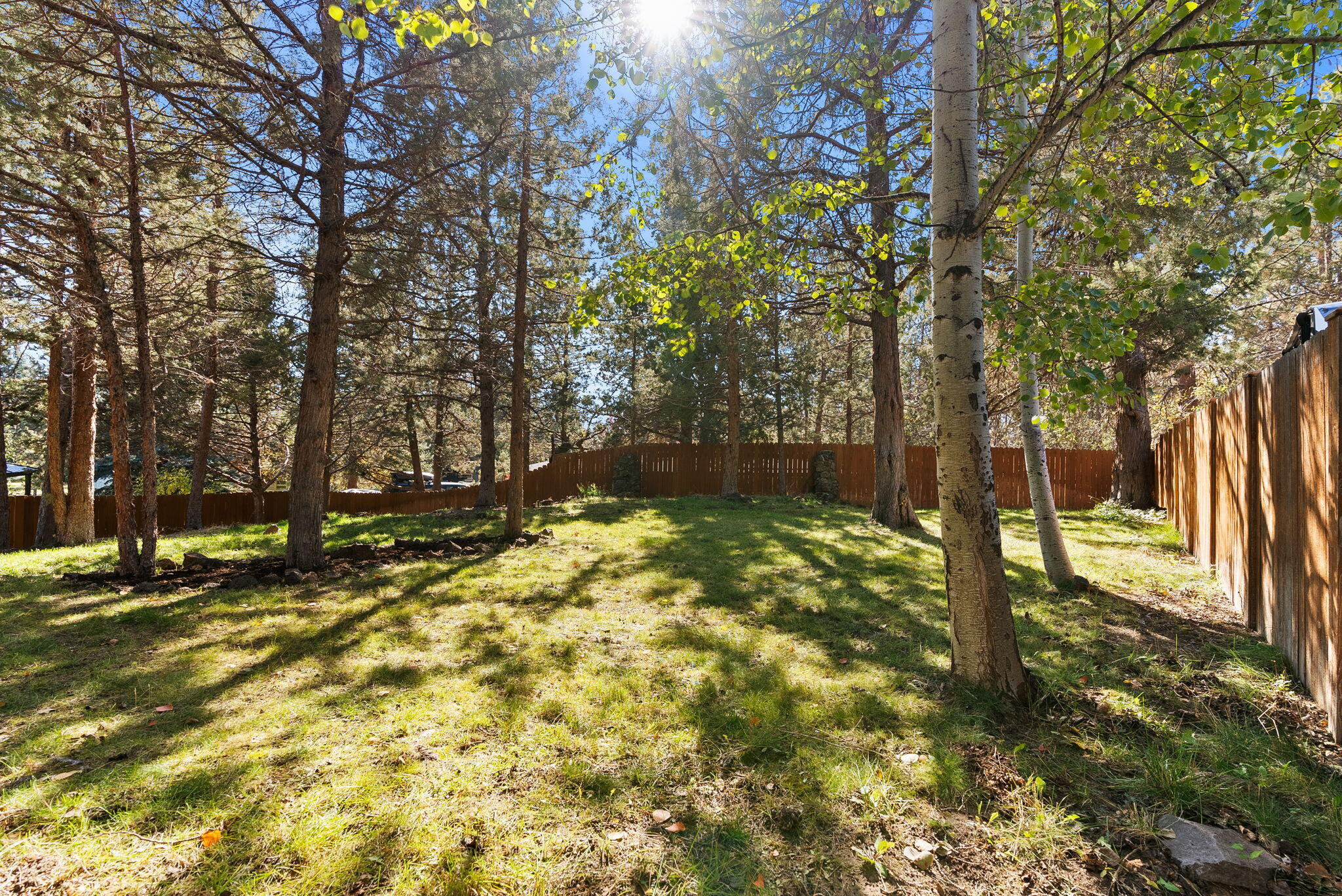 Conifer Estates - Residential