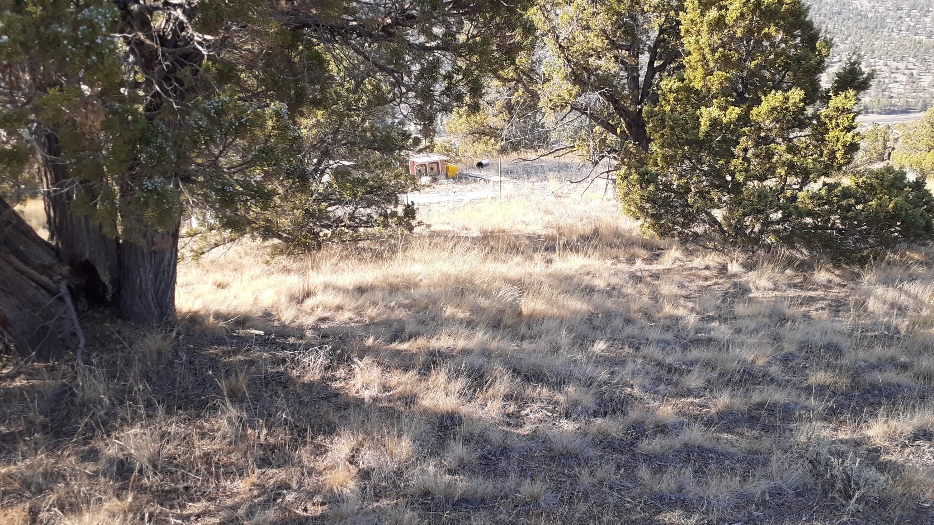 Juniper Hills - Land