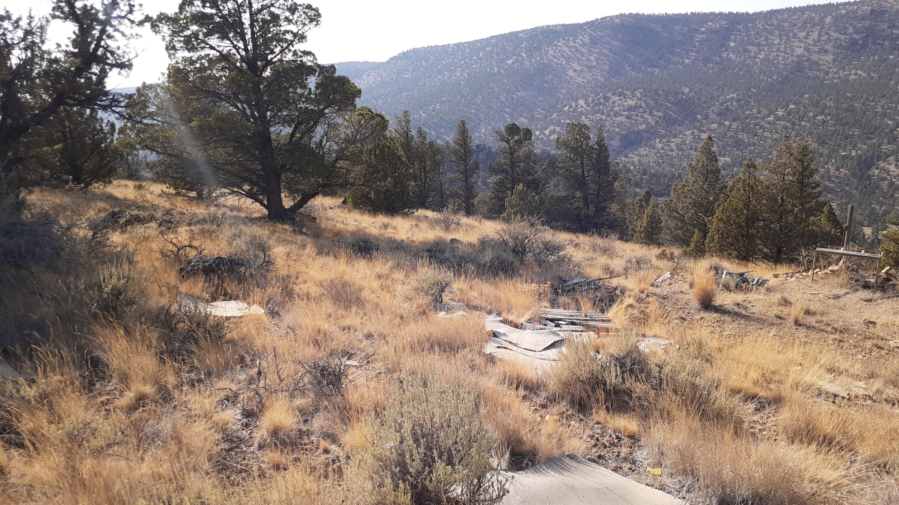 Juniper Hills - Land