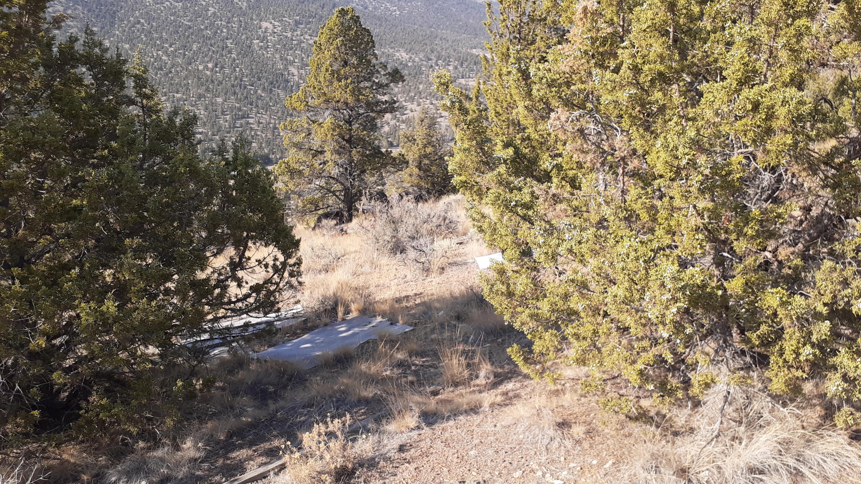 Juniper Hills - Land