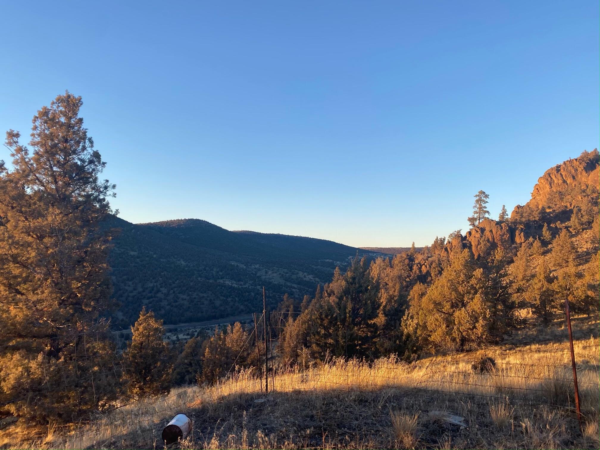 Juniper Hills - Land