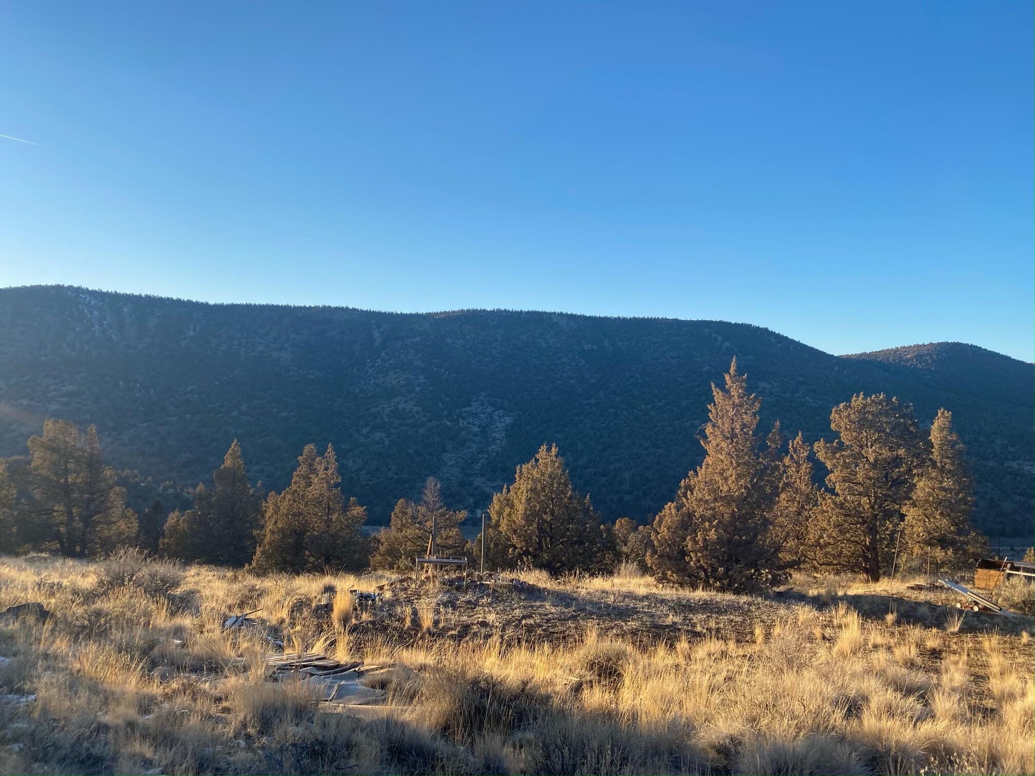 Juniper Hills - Land