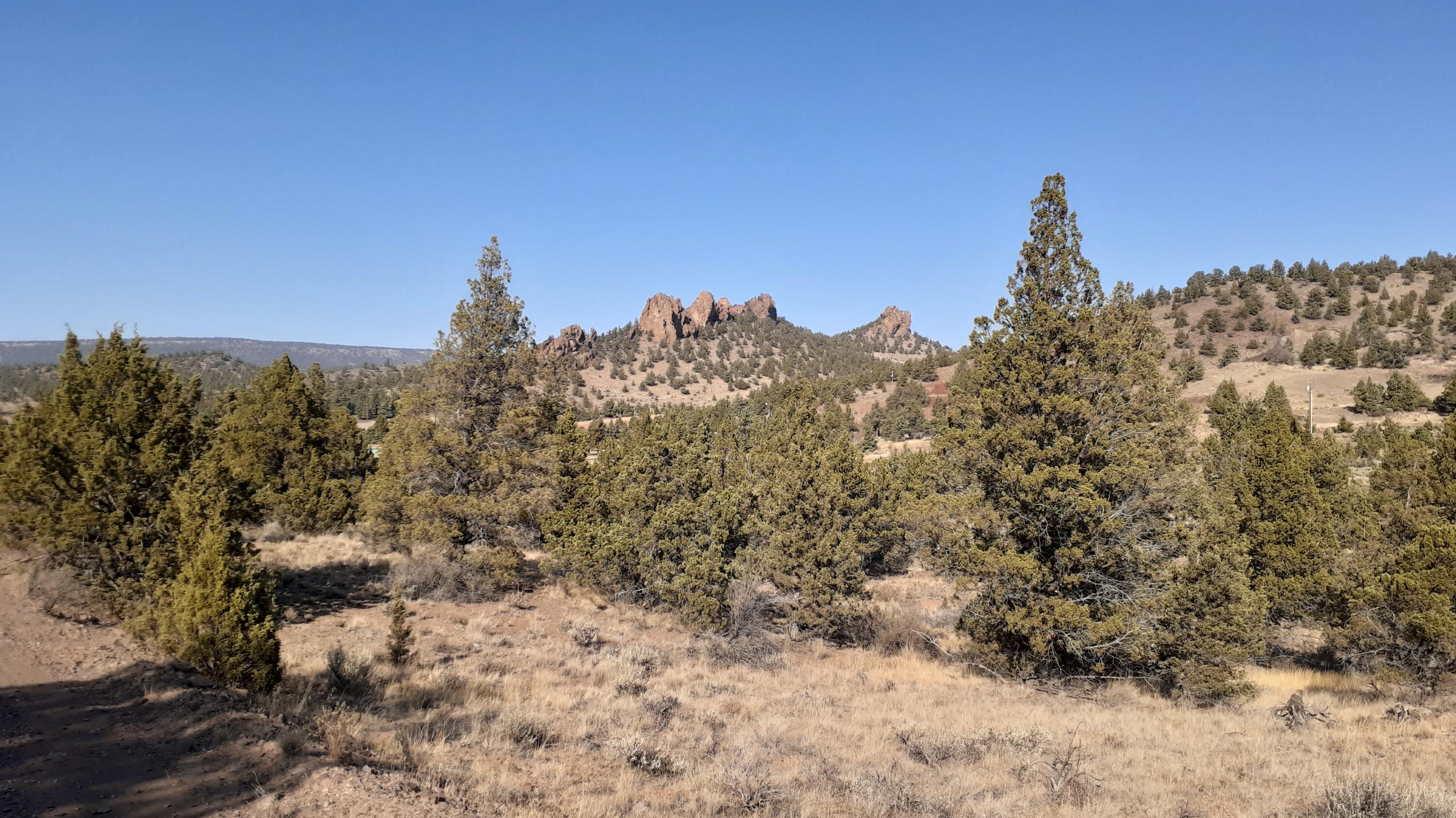 Juniper Hills - Land