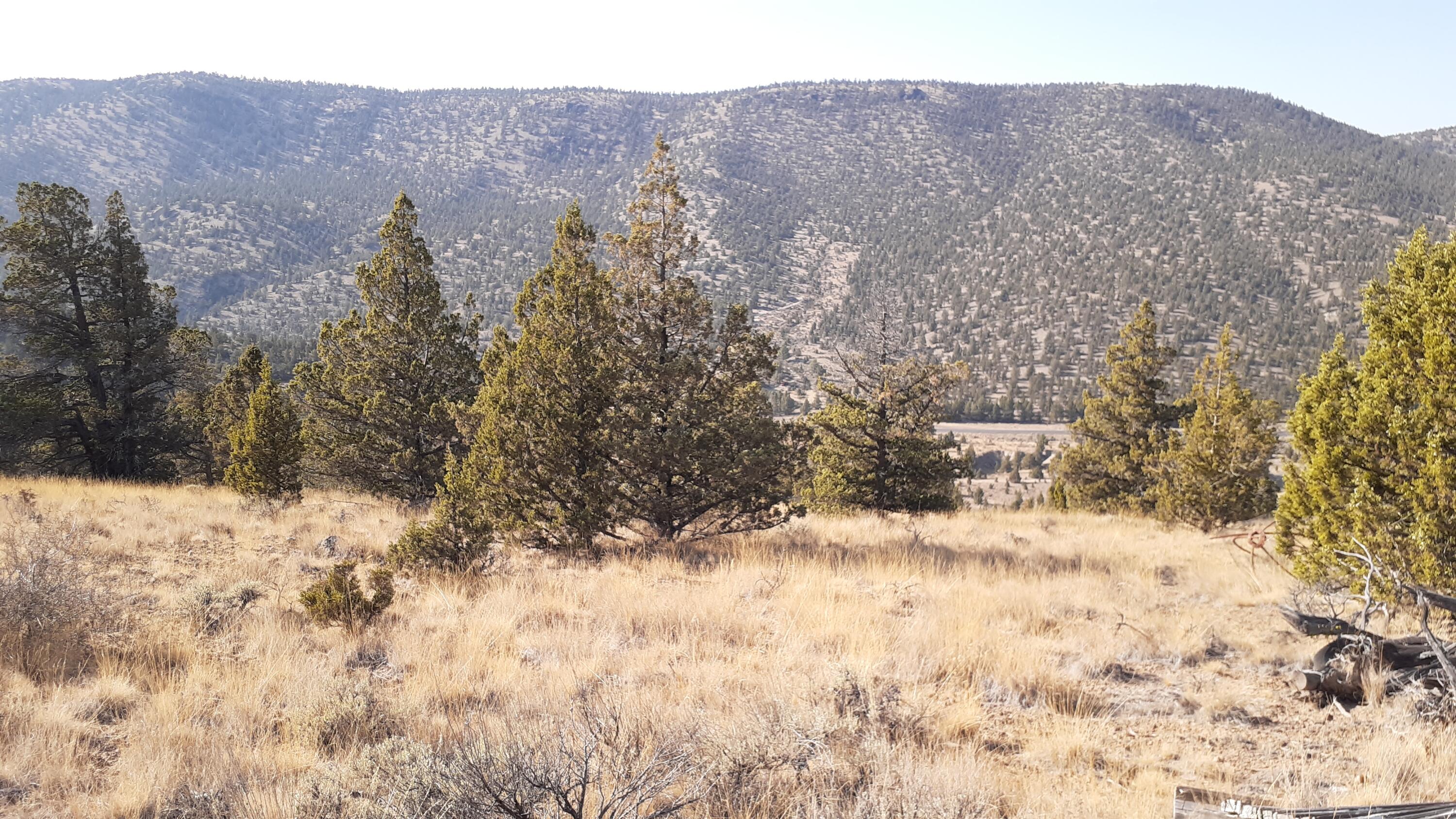 Juniper Hills - Land