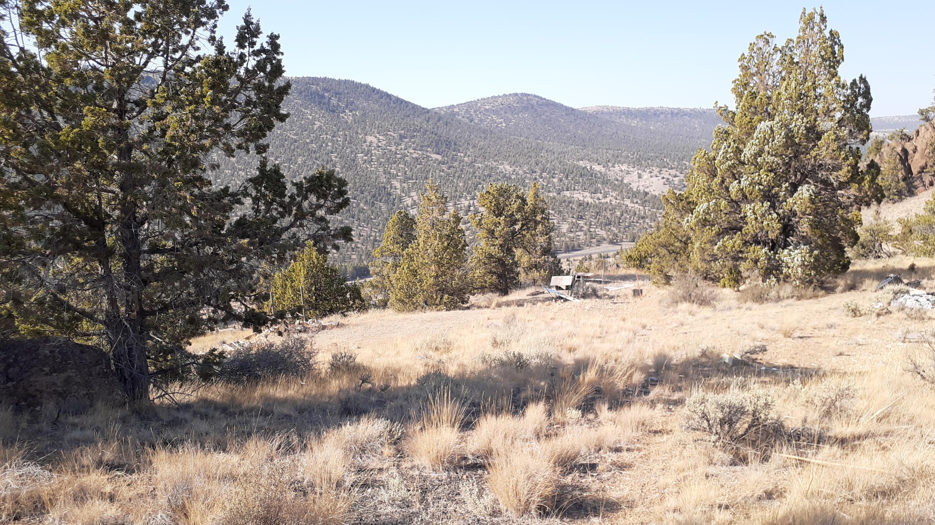 Juniper Hills - Land