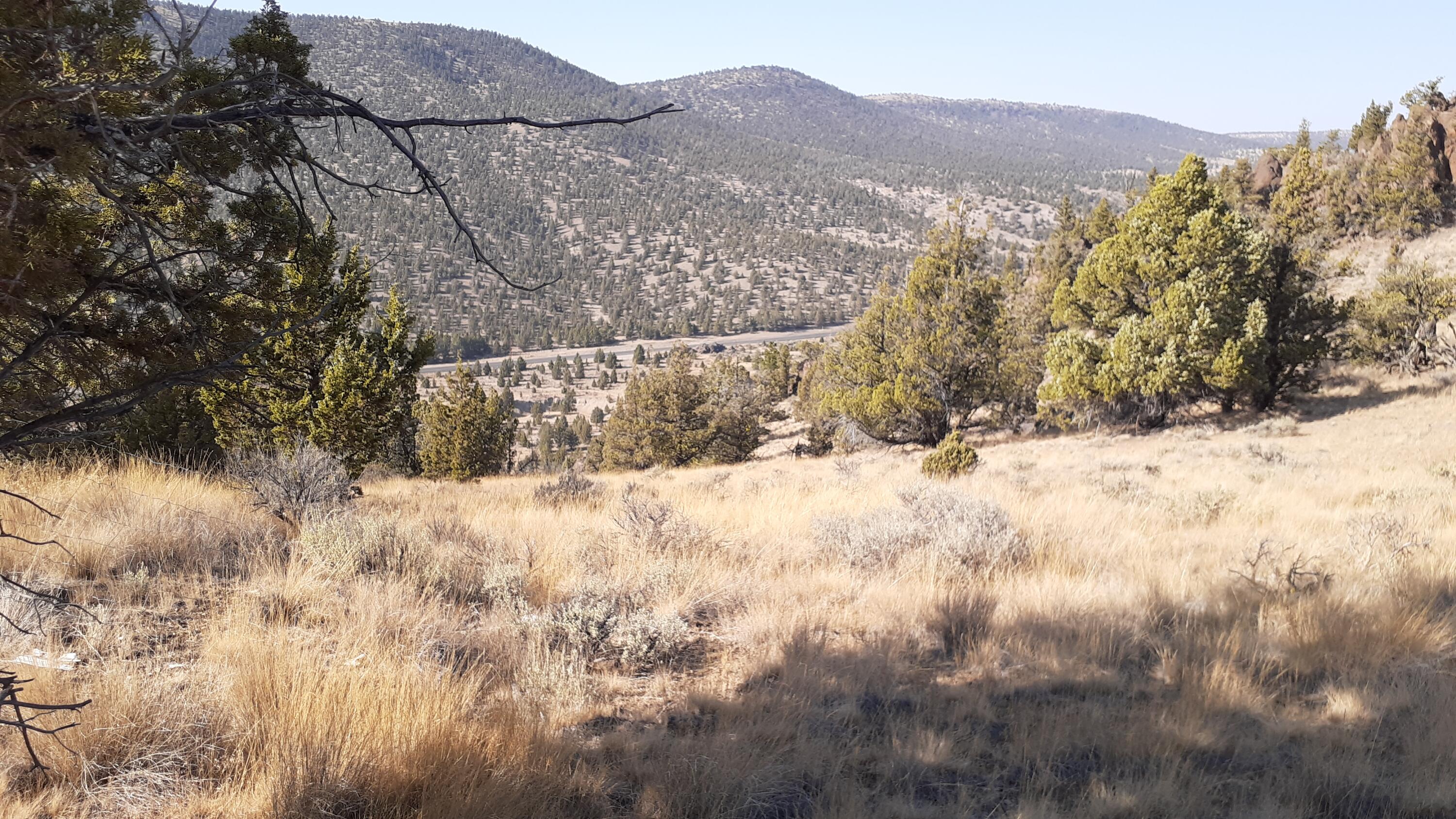 Juniper Hills - Land