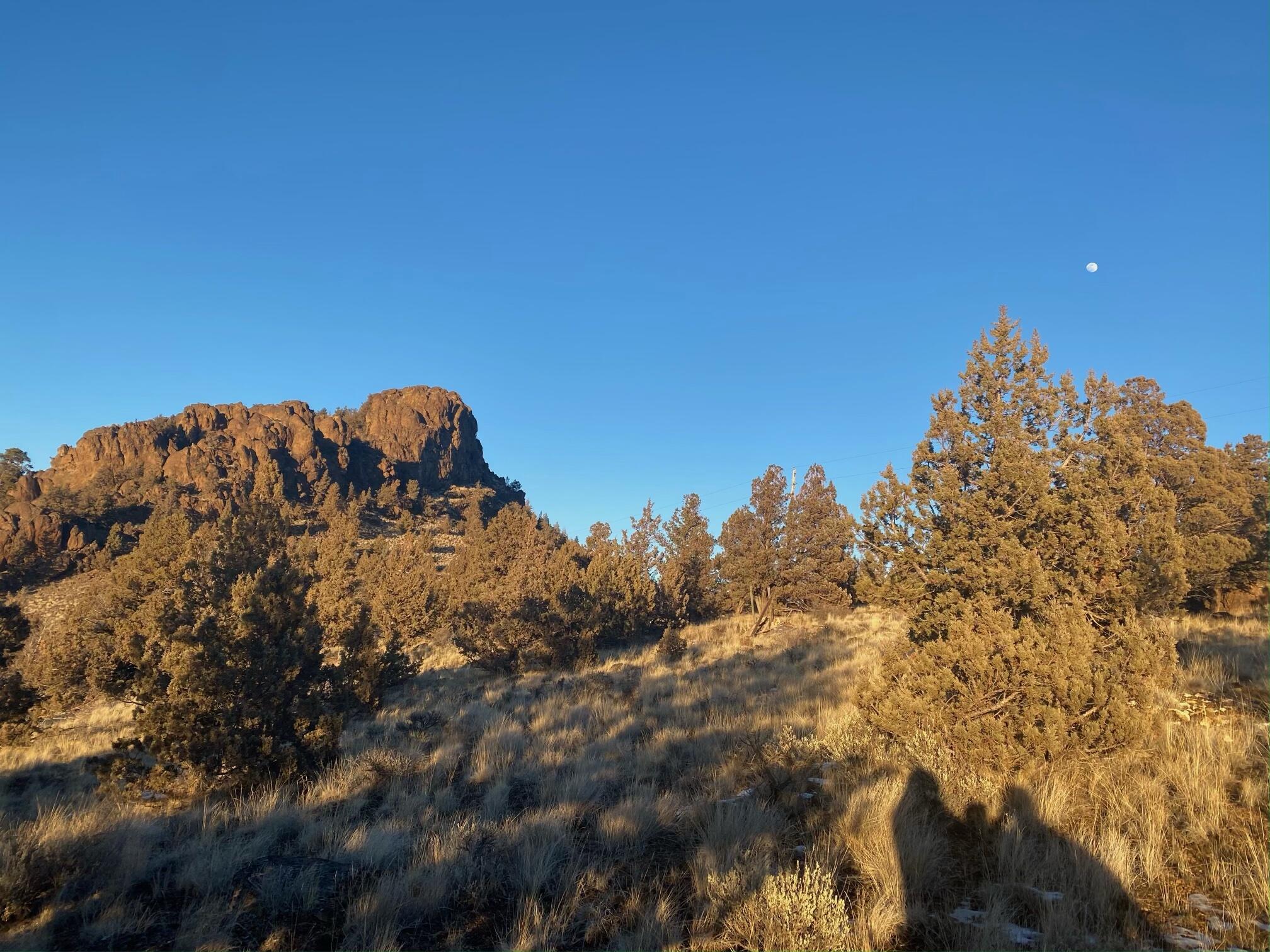 Juniper Hills - Land