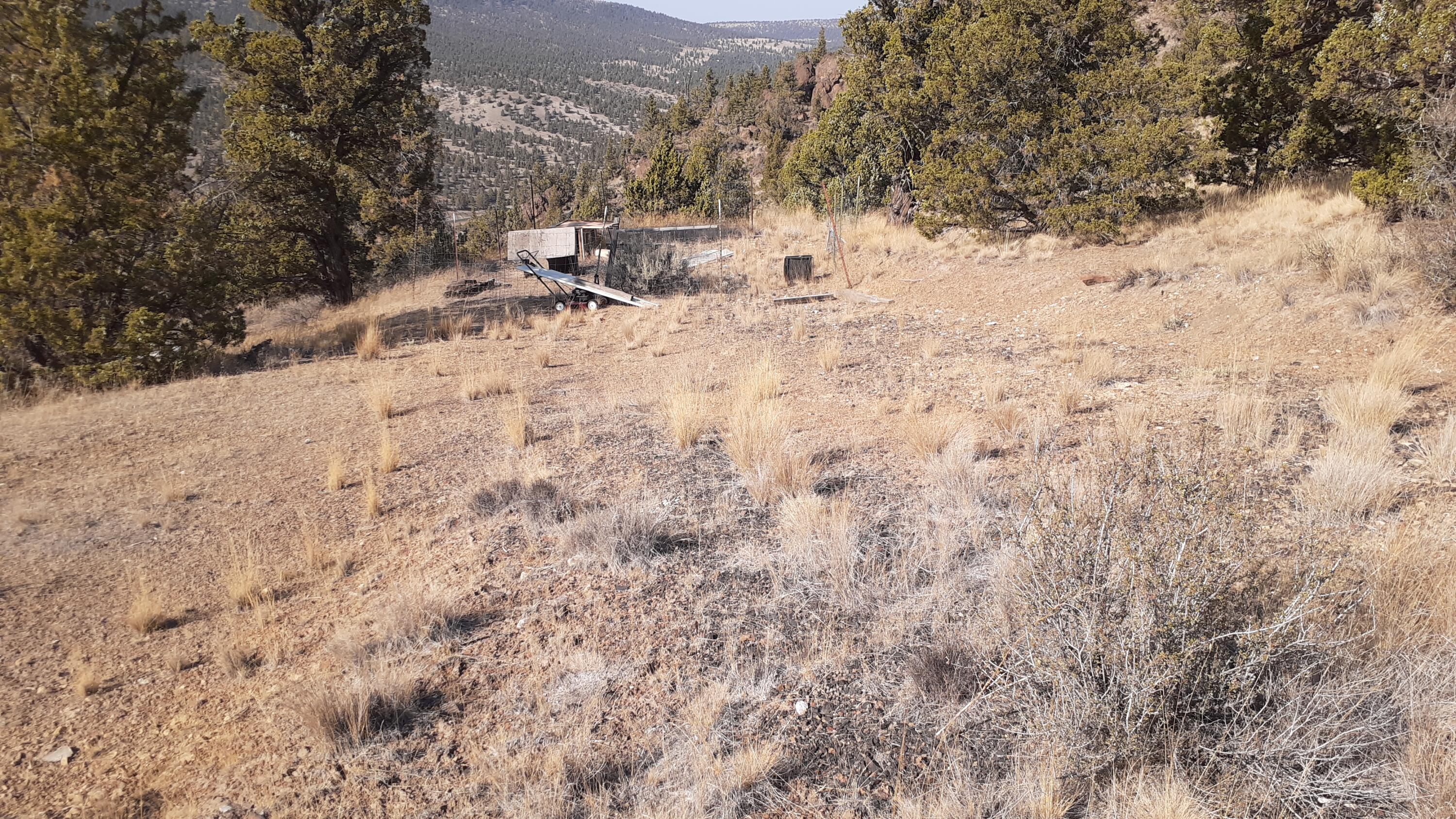 Juniper Hills - Land