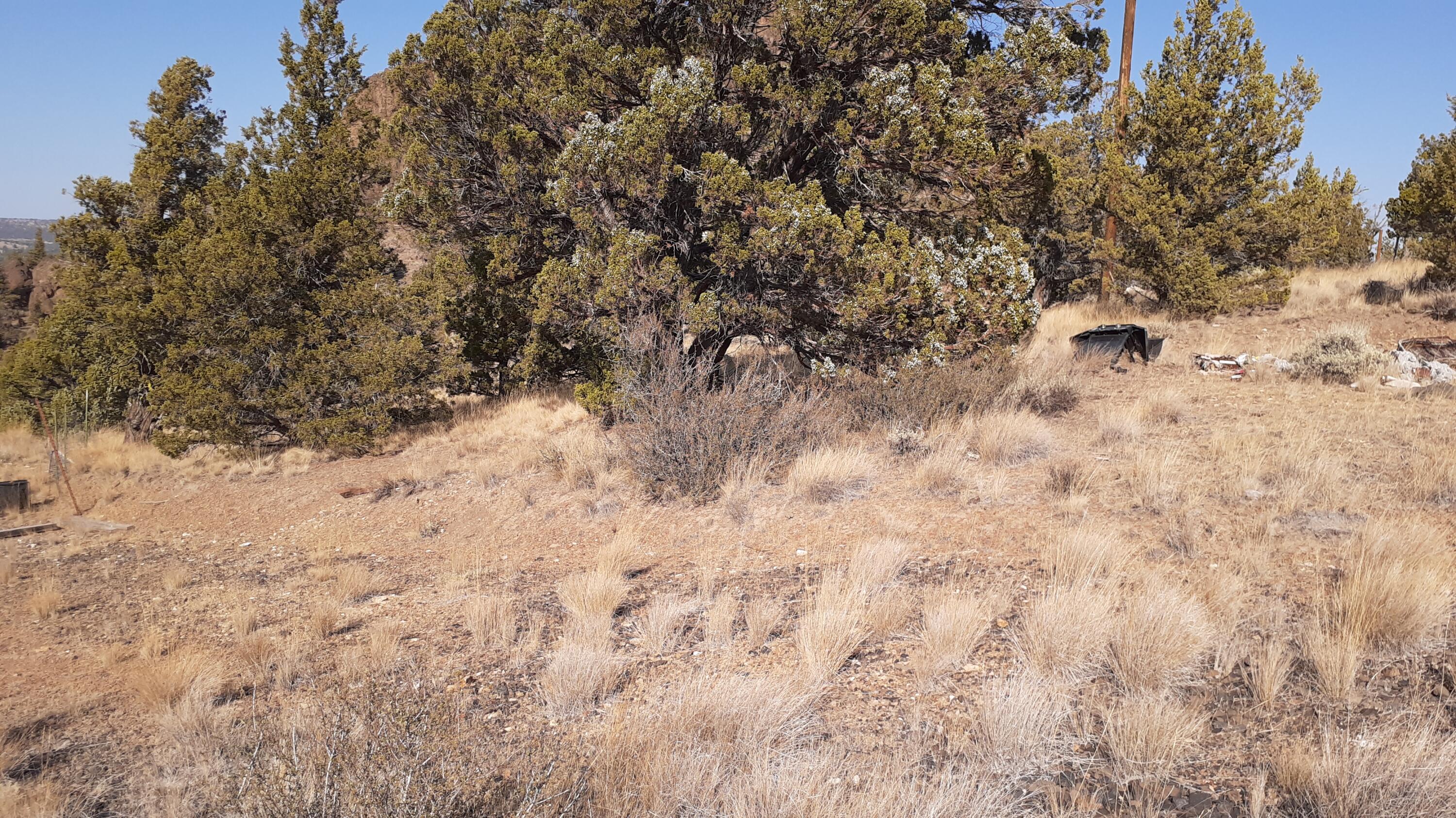 Juniper Hills - Land