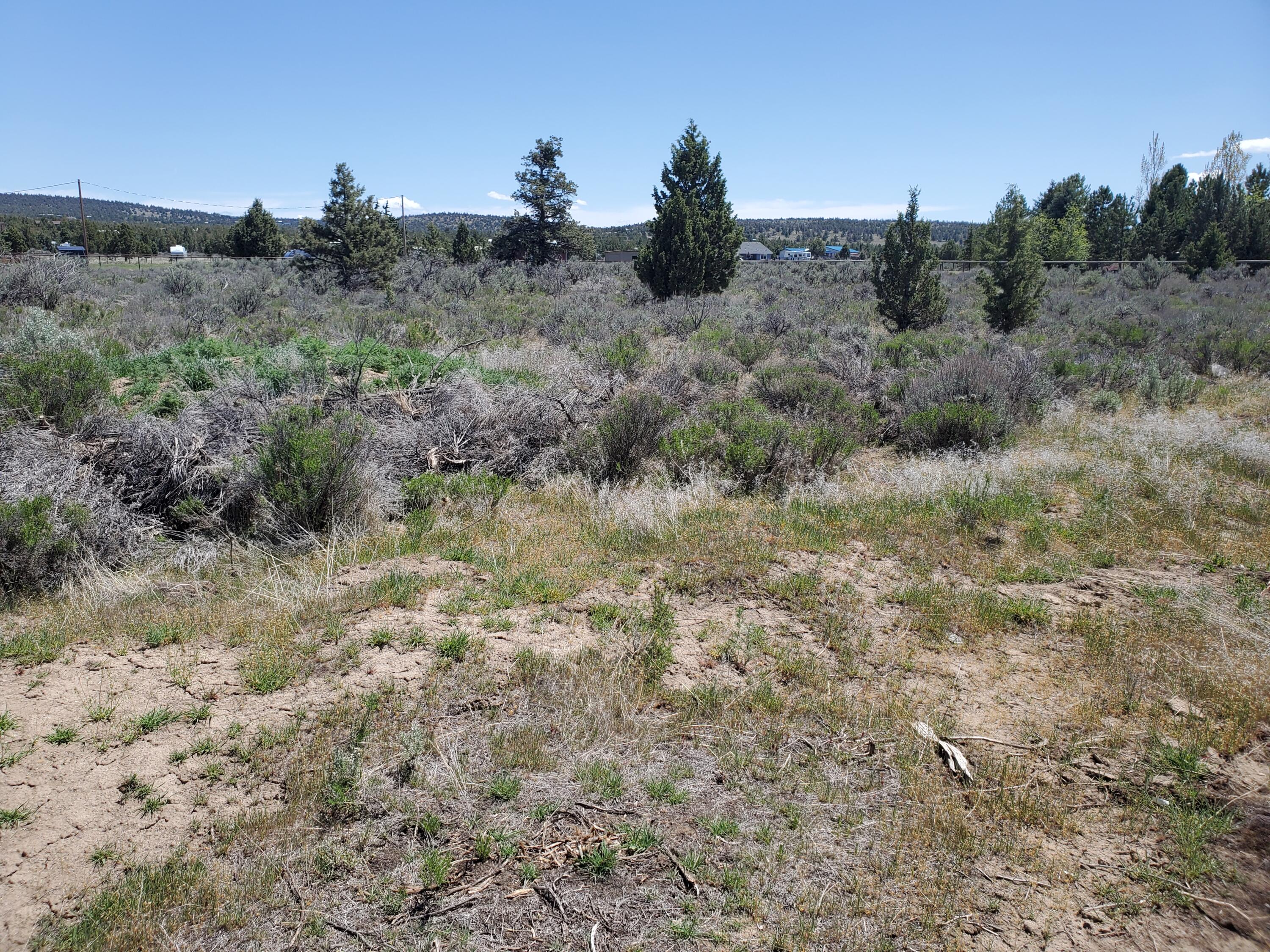 Prineville Lake Acres 2 - Land