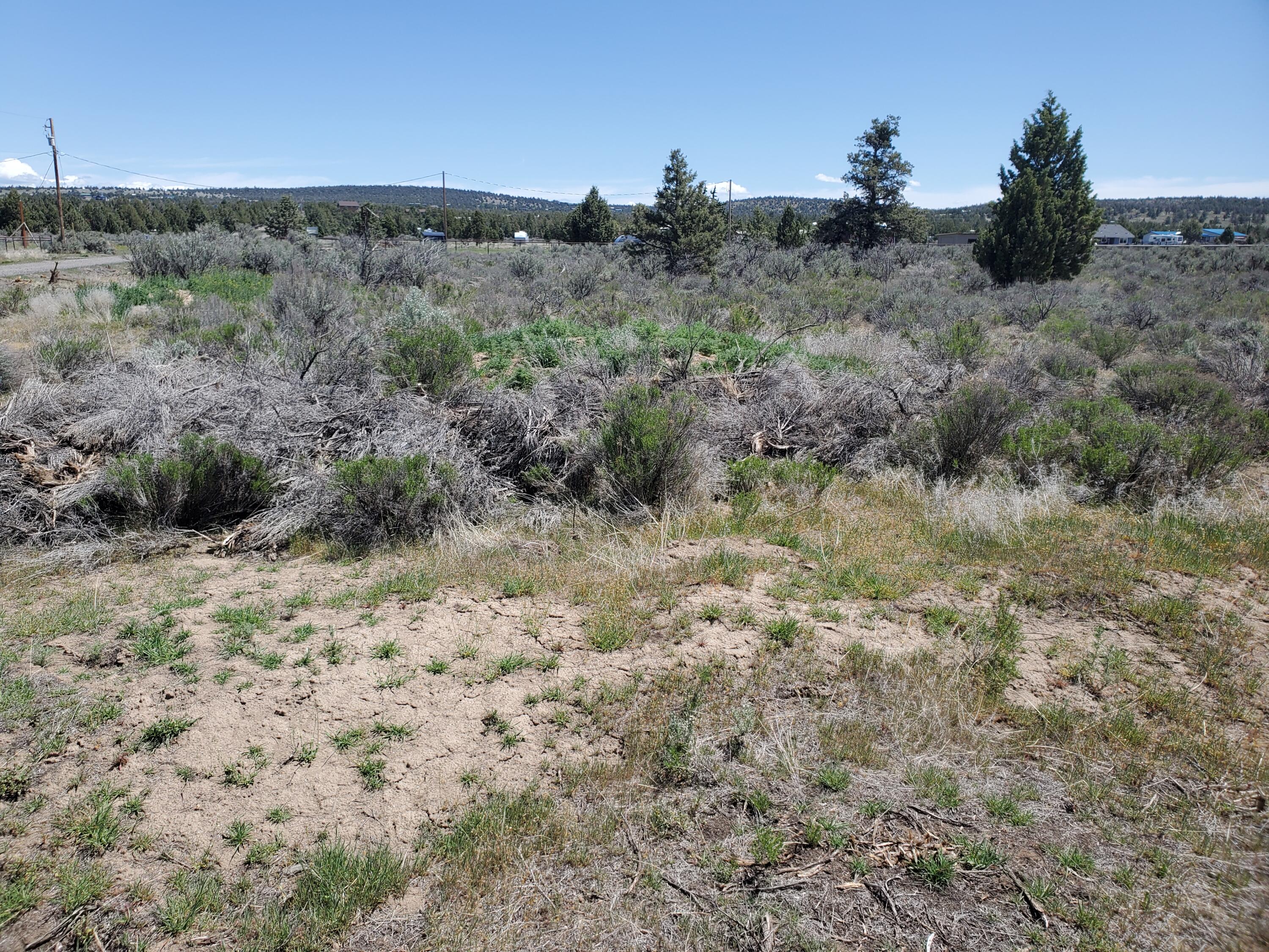 Prineville Lake Acres 2 - Land