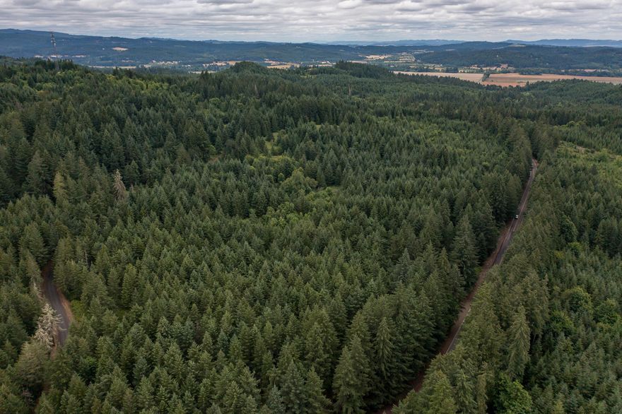 Excellent timber ground with various ages of Douglas Fir, surrounded by commercial timber owned property.  This timber patch could work for you if you have your own mill or you want to watch your investment grow over time.  Recreate on this Timber Conservation zoned property all year and set up a dry camping area for your RV for your ''temporary'' stays.  There are some great opportunities to hunt with the large elk herd roaming the area where they transition from the farm ground to the coast range.