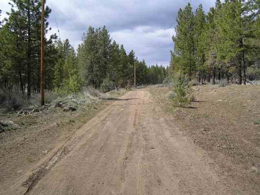 Nice Parcel With Trees And Large 44 X 92 Shop Building. Seller Unable To Remove Motor Home, 5th Wheel Or Shop Contents. Those Included In Price & Price Reduced To Compensate.