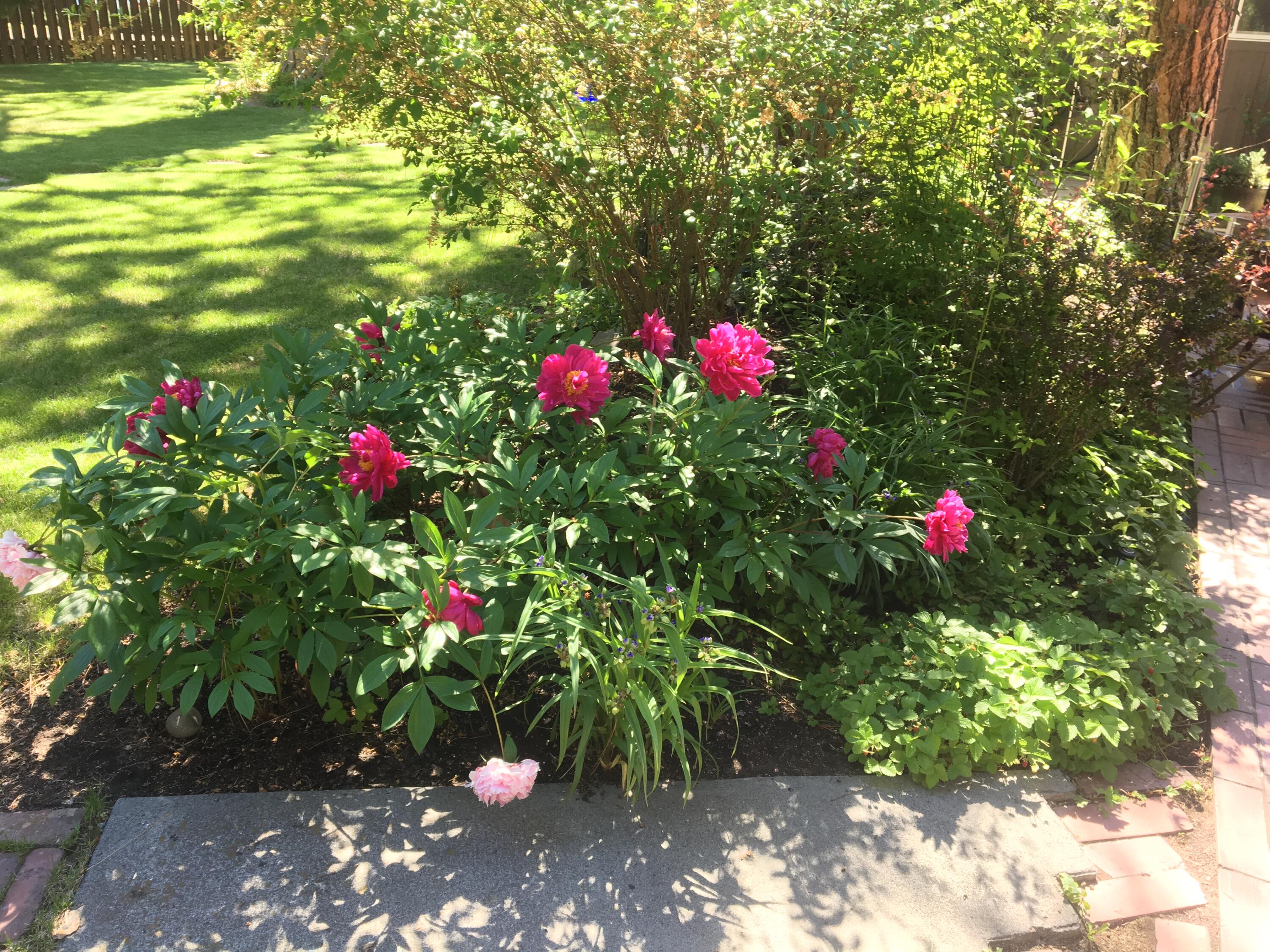 Bend Park - Residential